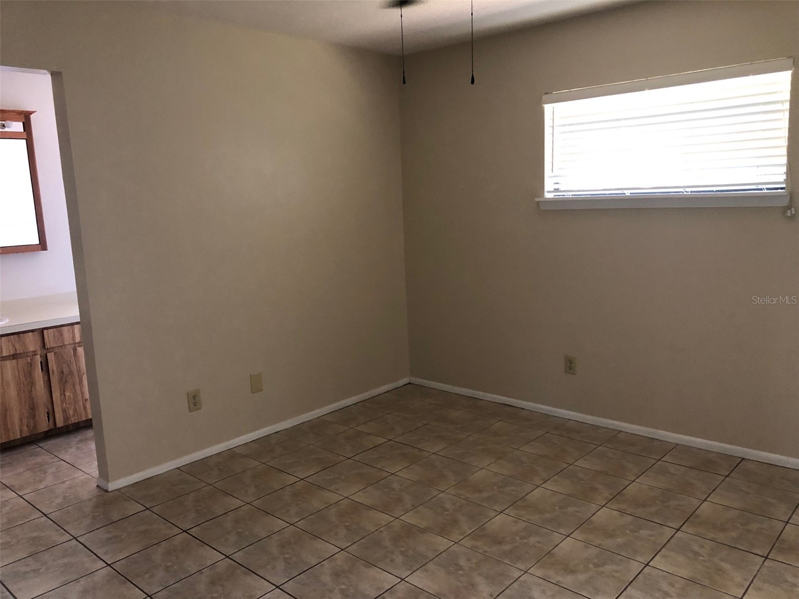 625 E 8th Avenue Mount Dora FL 32757 G5112426 image8