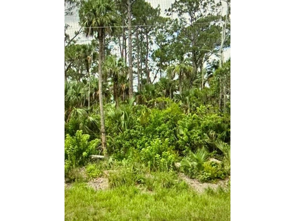 625 Greenbriar Boulevard Lehigh Acres FL 33972 GC534585 image1