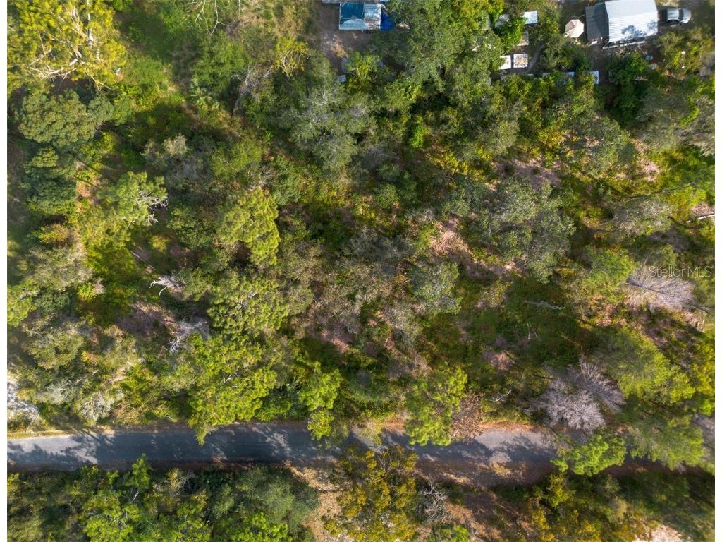 625 Lake Butler Avenue Osteen FL 32764 V4945908 image11