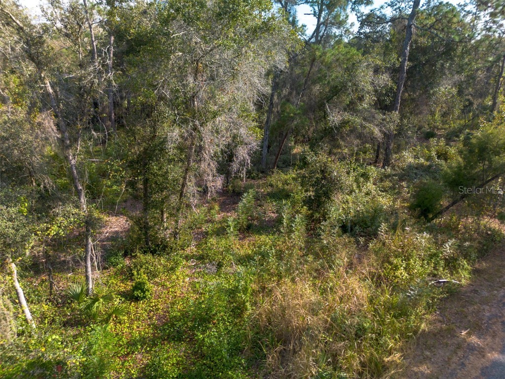 625 Lake Butler Avenue Osteen FL 32764 V4945908 image14