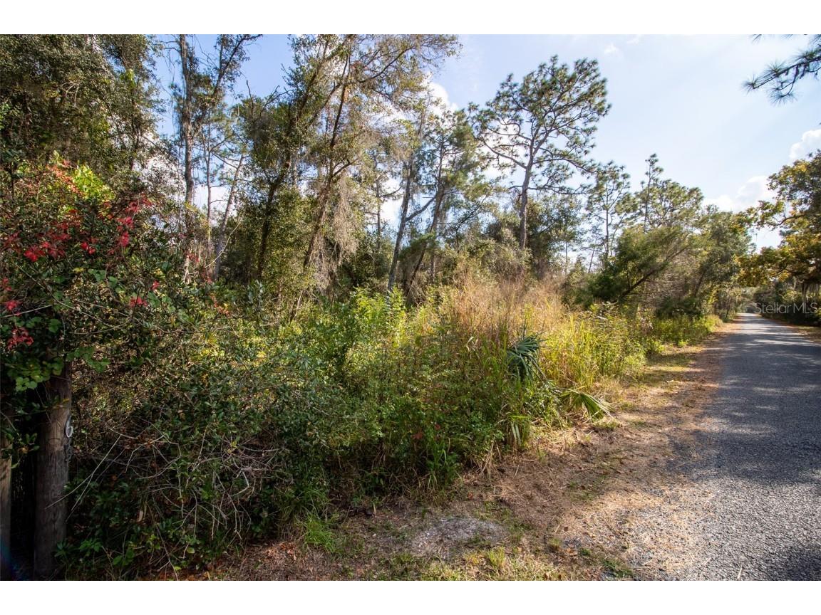 625 Lake Butler Avenue Osteen FL 32764 V4945908 image16