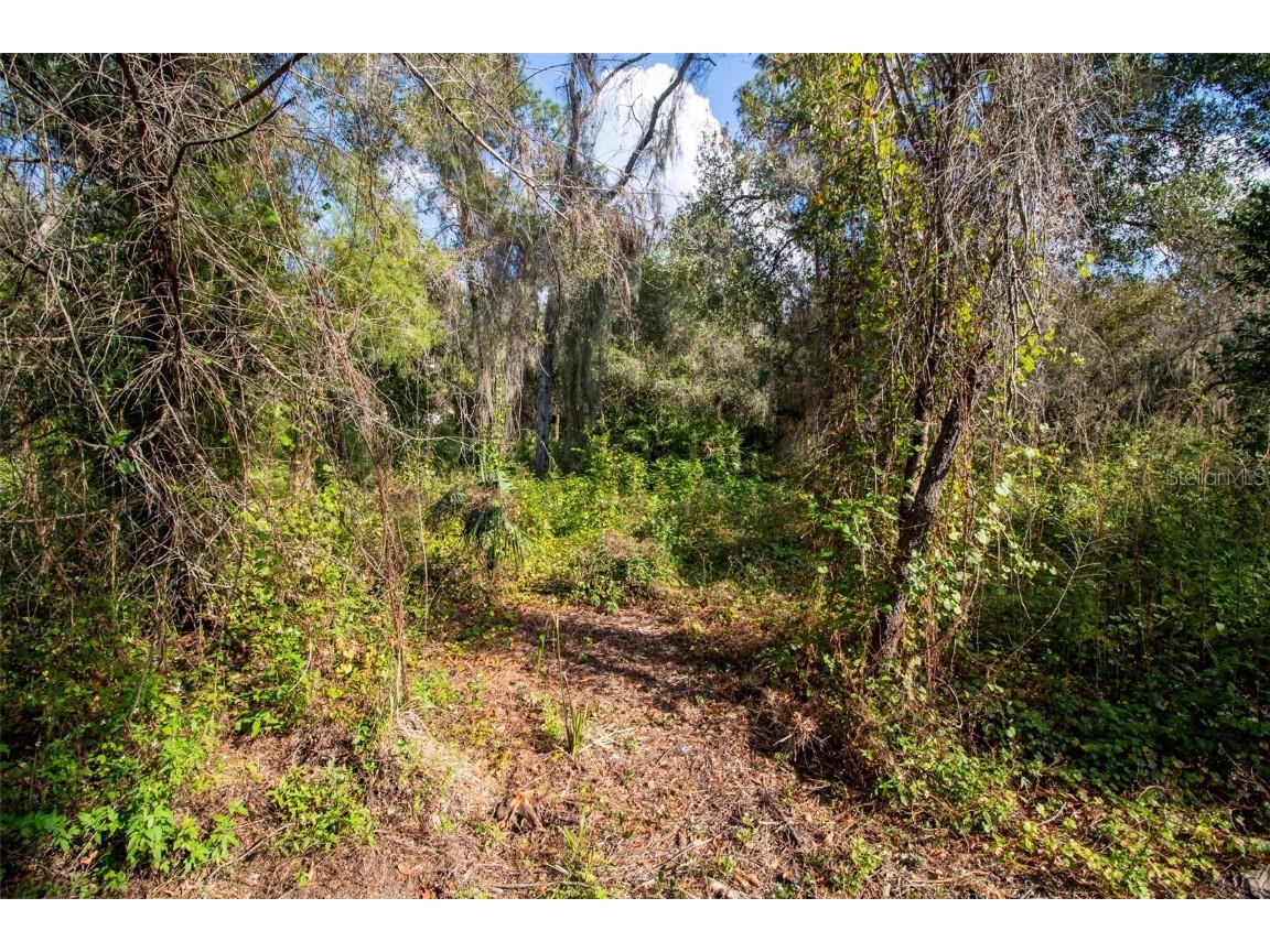 625 Lake Butler Avenue Osteen FL 32764 V4945908 image17