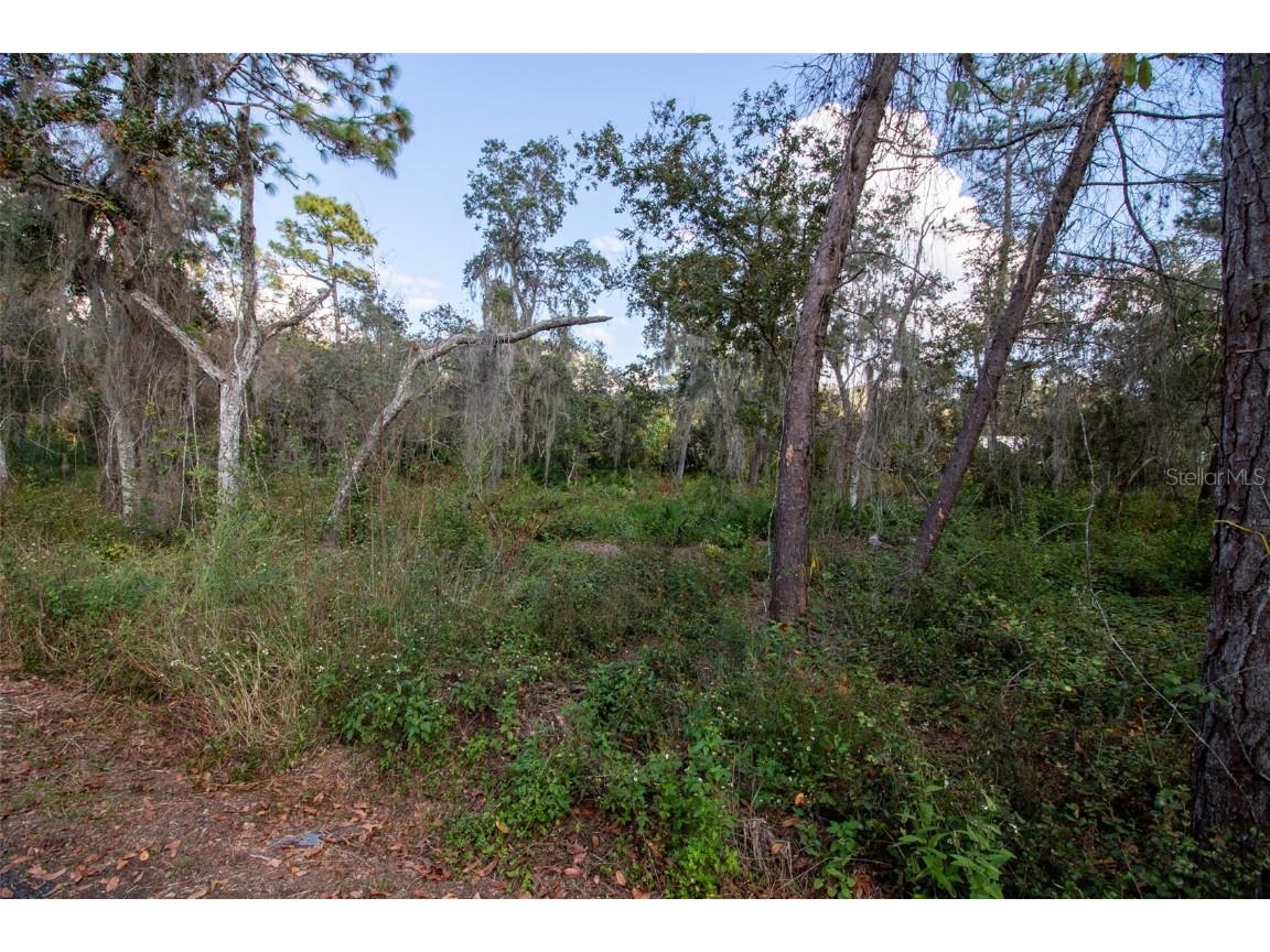 625 Lake Butler Avenue Osteen FL 32764 V4945908 image18