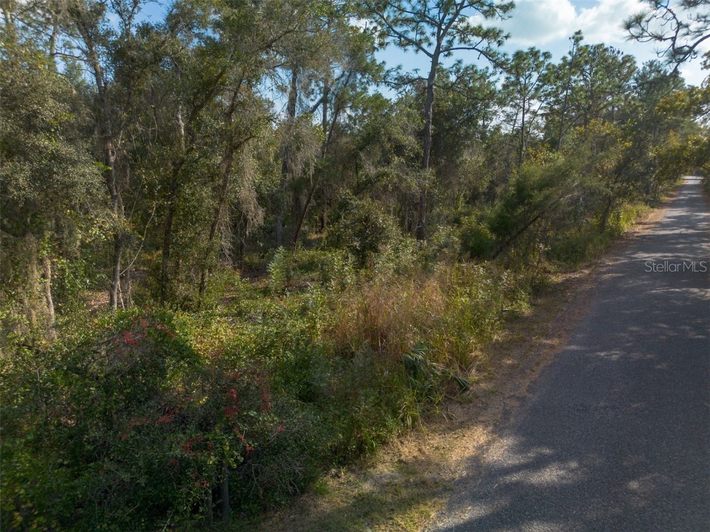 625 Lake Butler Avenue Osteen FL 32764 V4945908 image3