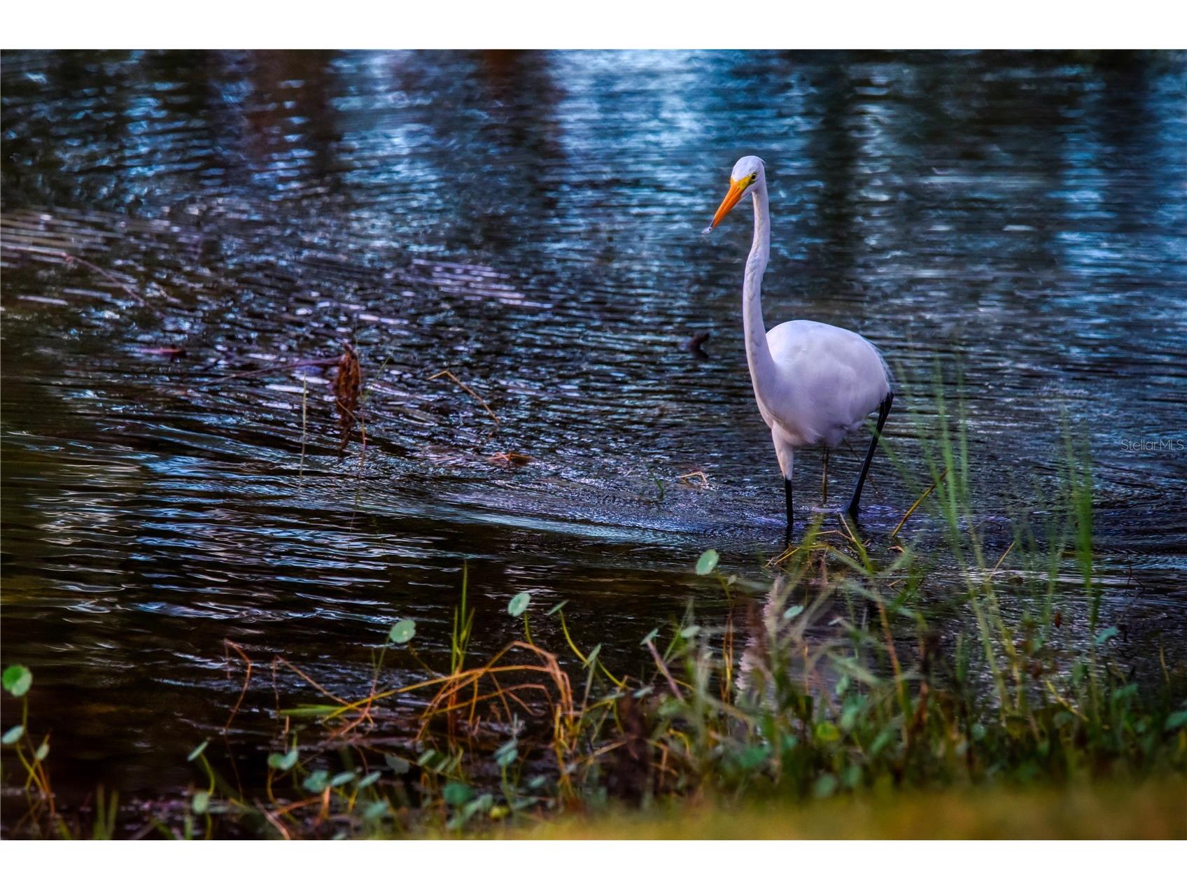 625 Midway Drive #A Ocala FL 34472 - LAKE SPARKLE OM717615 image30