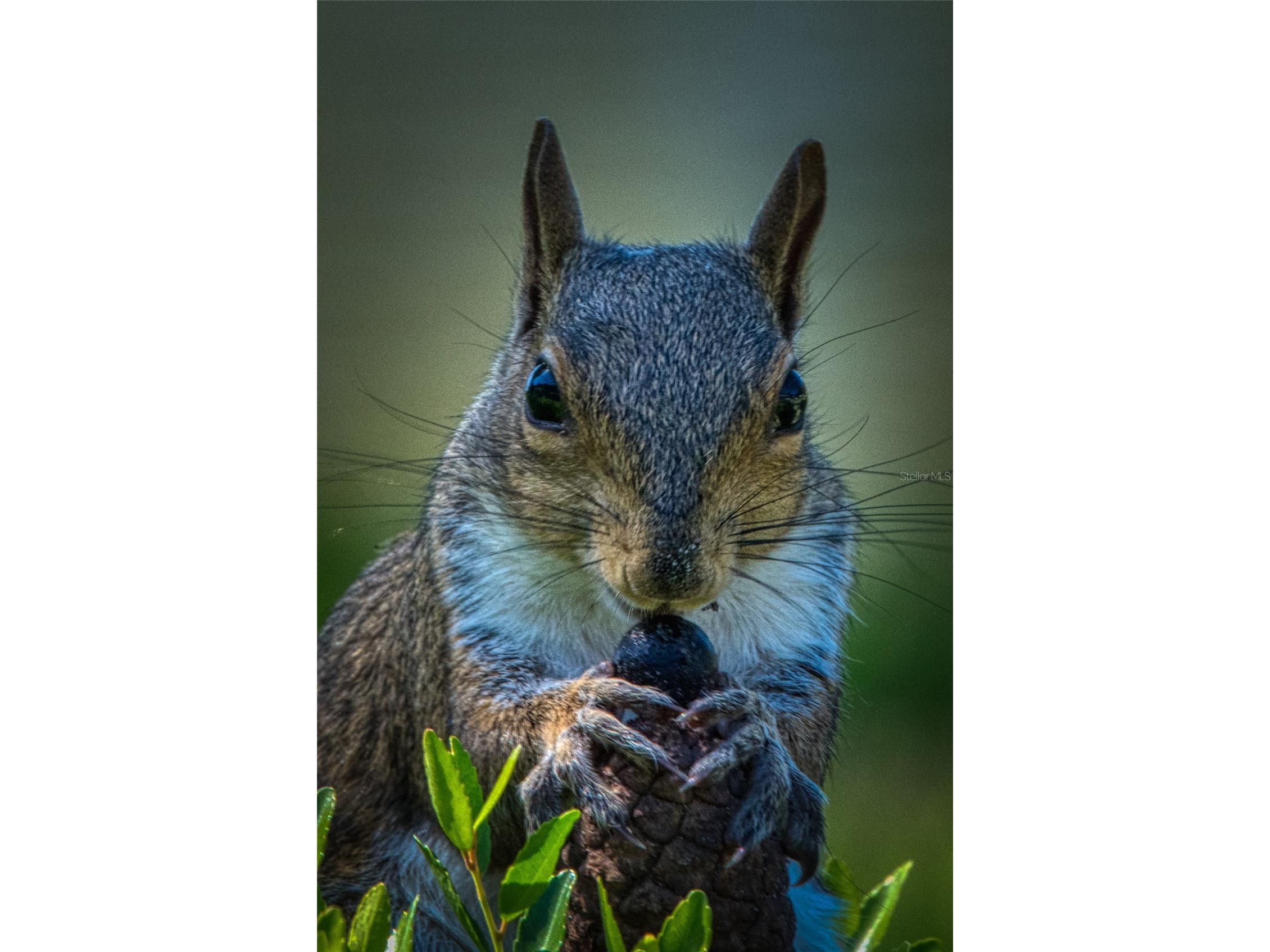 625 Midway Drive #A Ocala FL 34472 - LAKE SPARKLE OM717615 image32