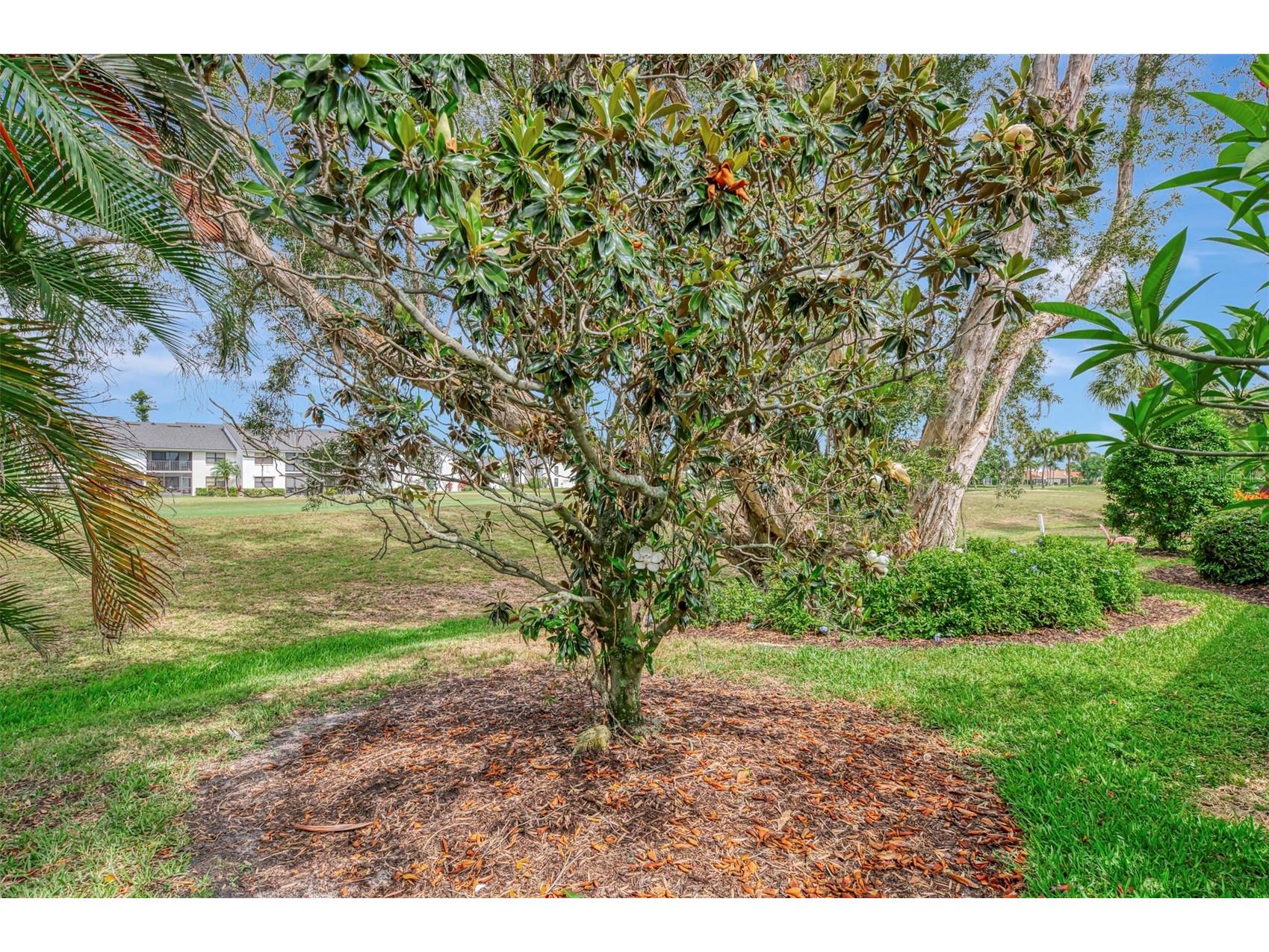 625 Misty Pine Drive Venice FL 34292 N6144325 image41