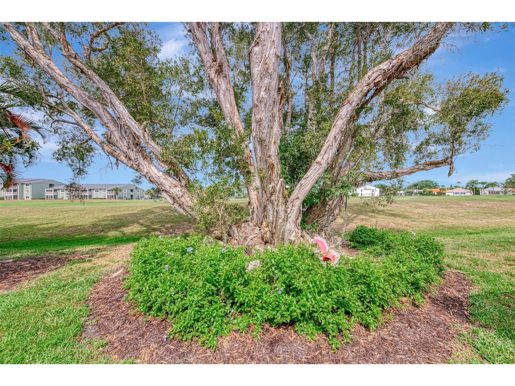 625 Misty Pine Drive Venice FL 34292 N6144325 image42