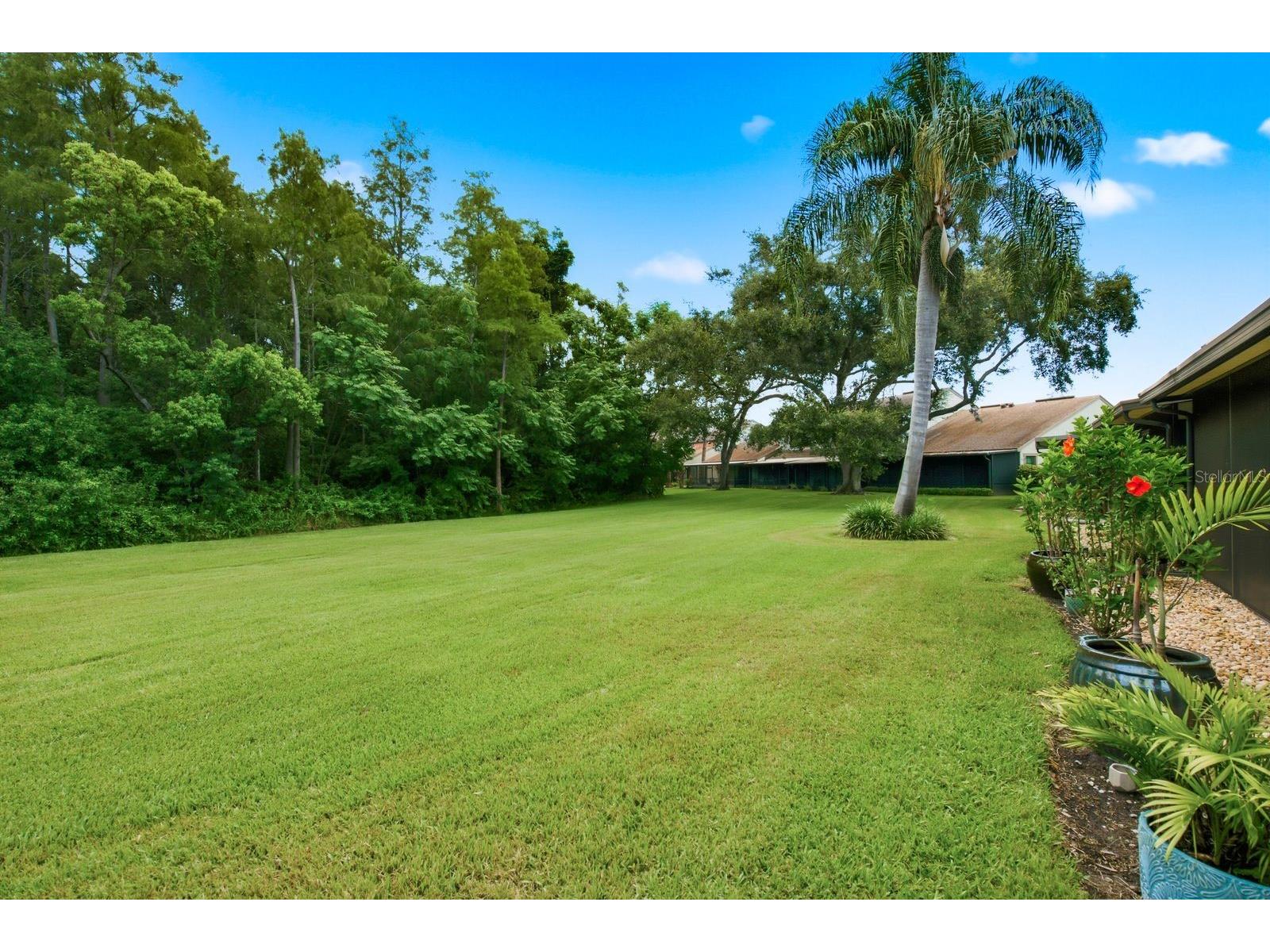 625 Quail Keep Drive Safety Harbor FL 34695 TB8527770 image34