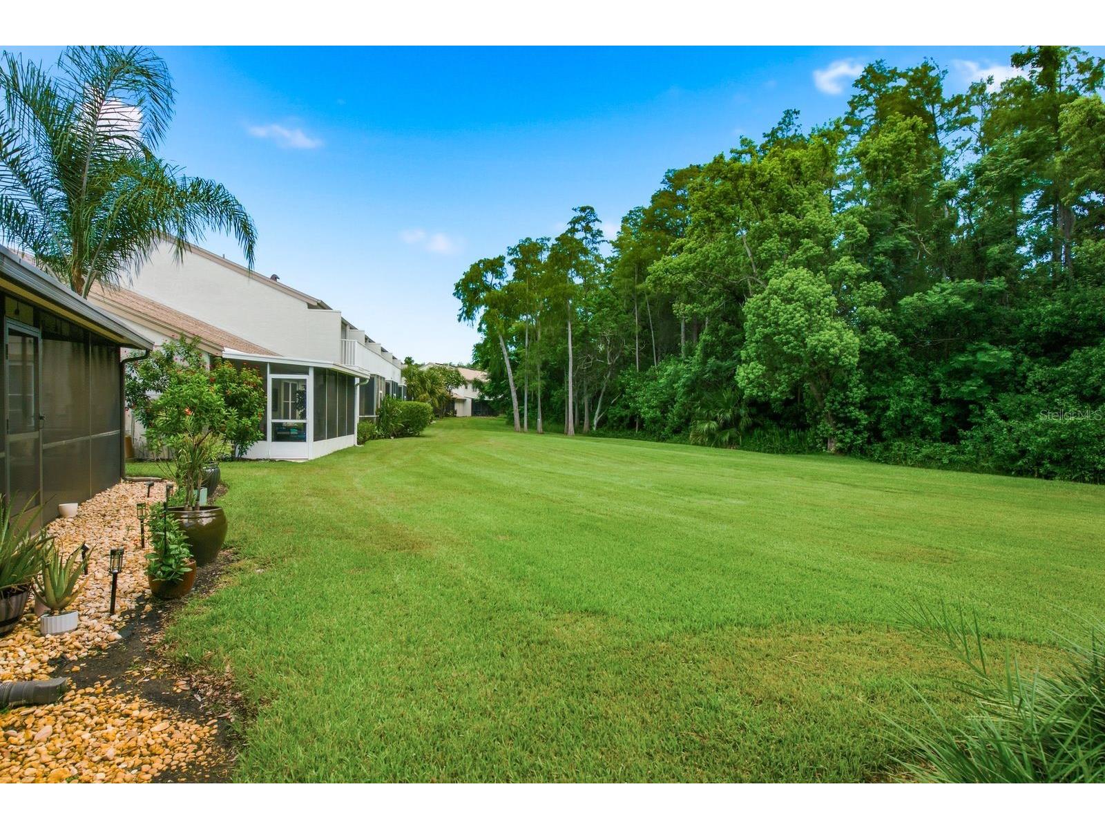 625 Quail Keep Drive Safety Harbor FL 34695 TB8527770 image38