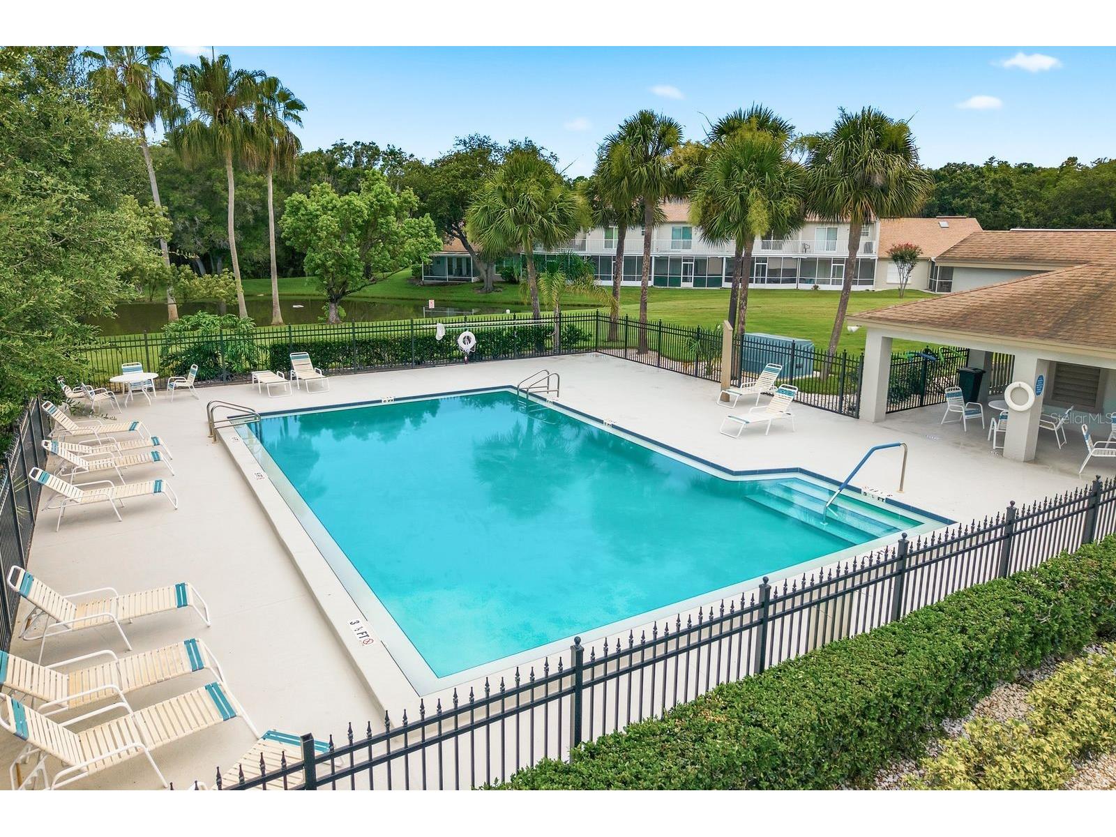 625 Quail Keep Drive Safety Harbor FL 34695 TB8527770 image39