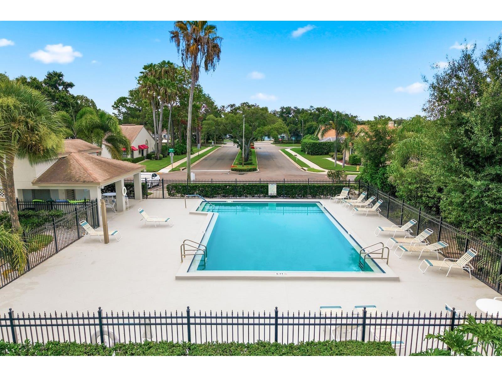 625 Quail Keep Drive Safety Harbor FL 34695 TB8527770 image40