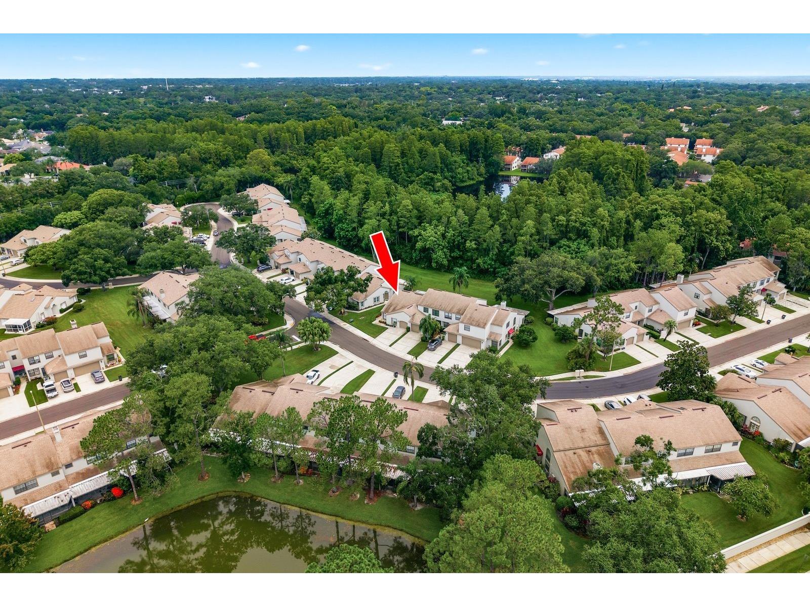 625 Quail Keep Drive Safety Harbor FL 34695 TB8527770 image49