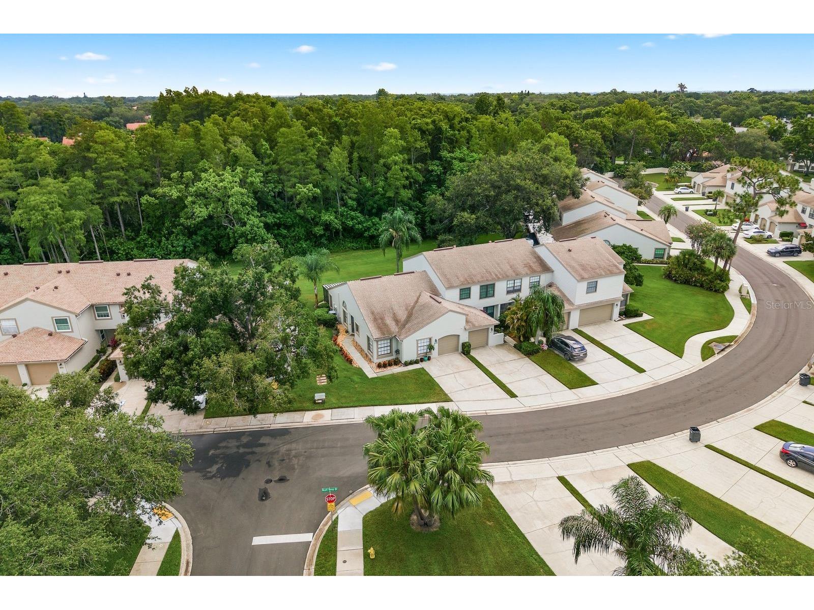 625 Quail Keep Drive Safety Harbor FL 34695 TB8527770 image51
