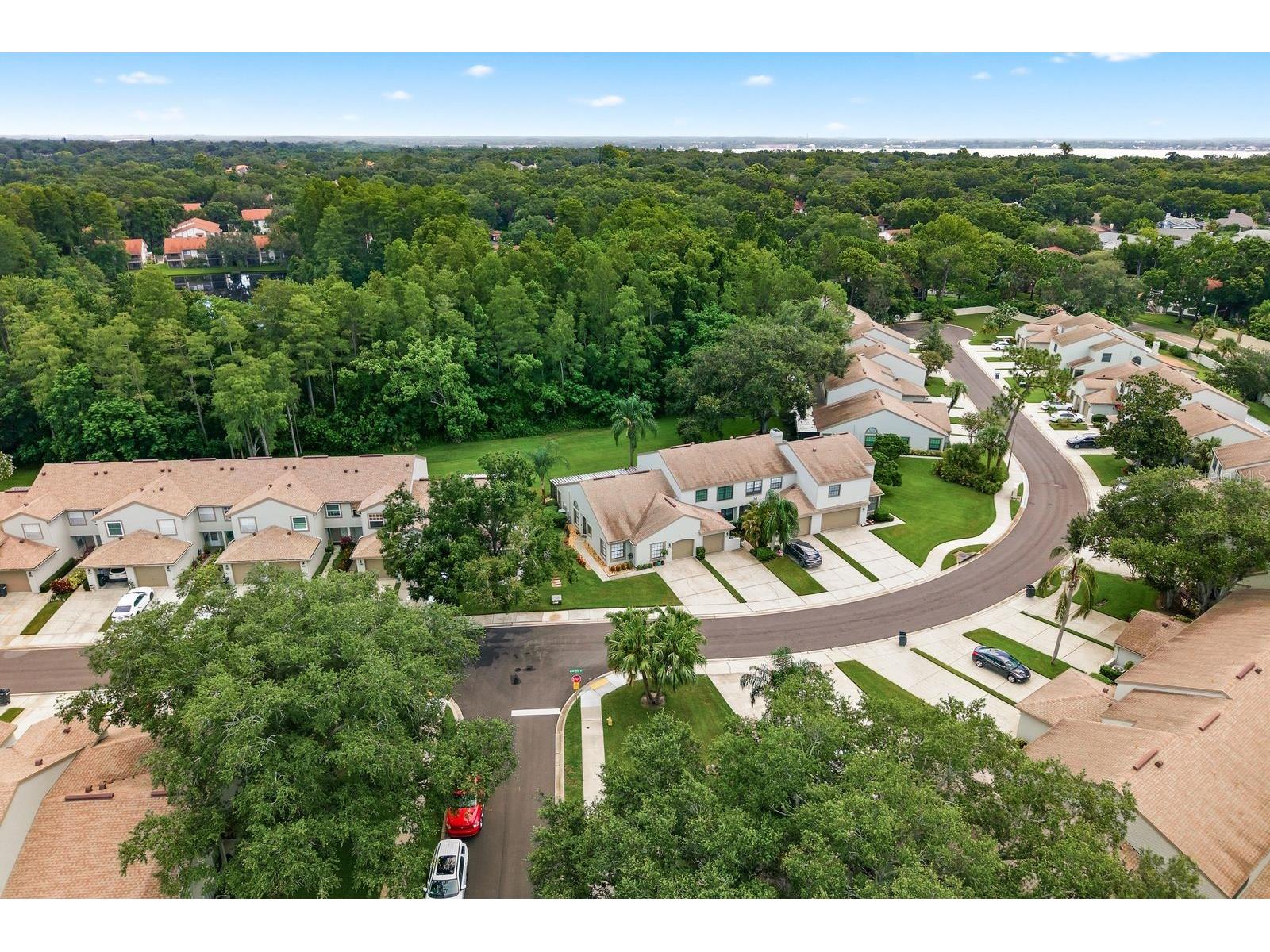 625 Quail Keep Drive Safety Harbor FL 34695 TB8527770 image52