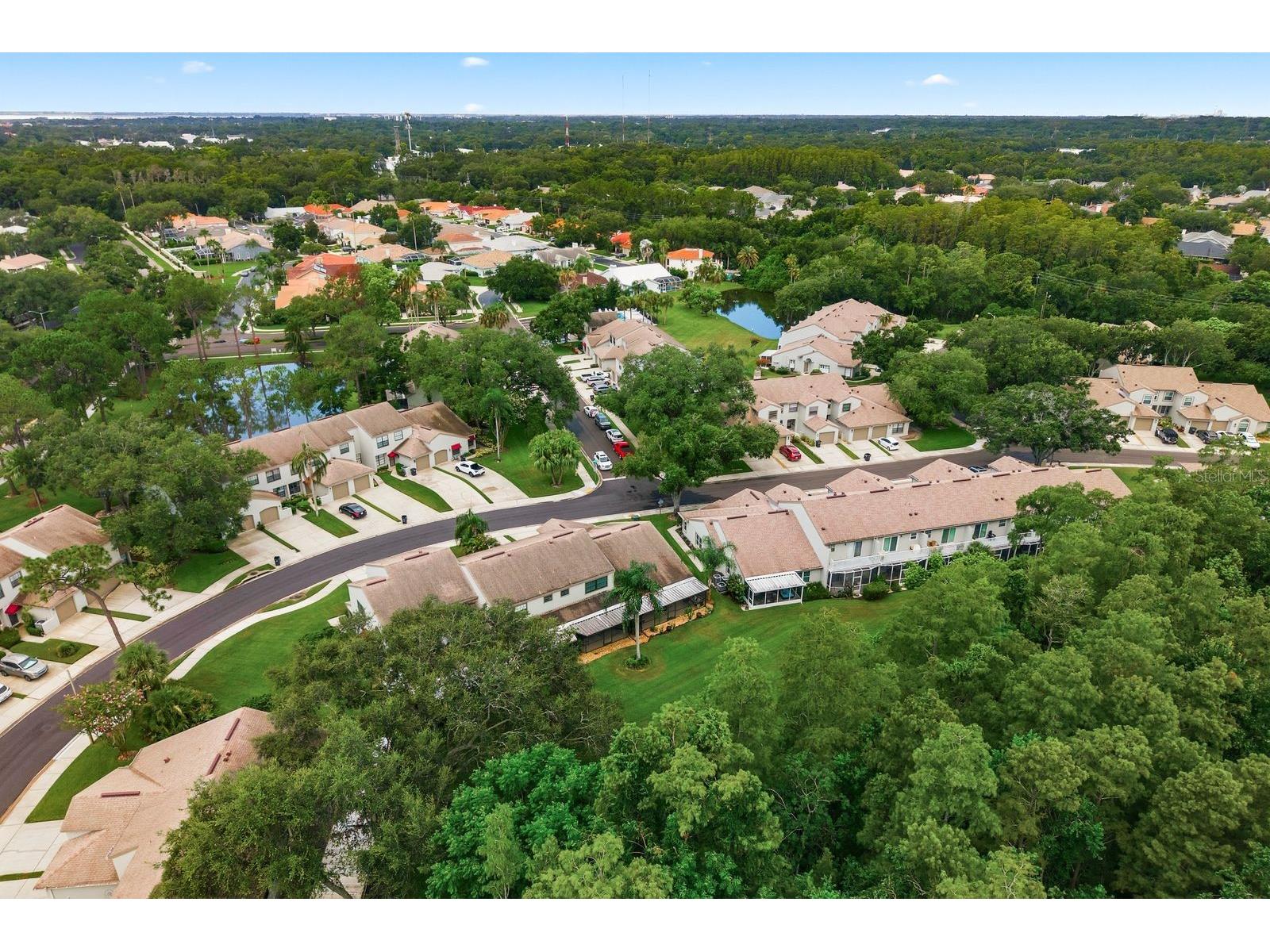 625 Quail Keep Drive Safety Harbor FL 34695 TB8527770 image55