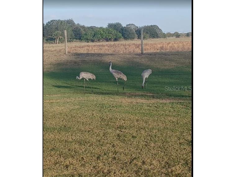 625 S Reed Road Avon Park FL 33825 TB8422093 image9