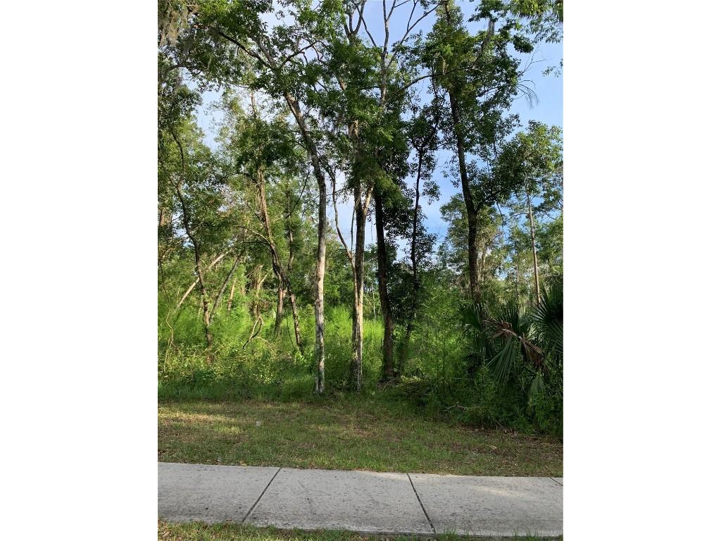 625 W Dr M L King Jr Boulevard Brooksville FL 34601 TB8392082 image1