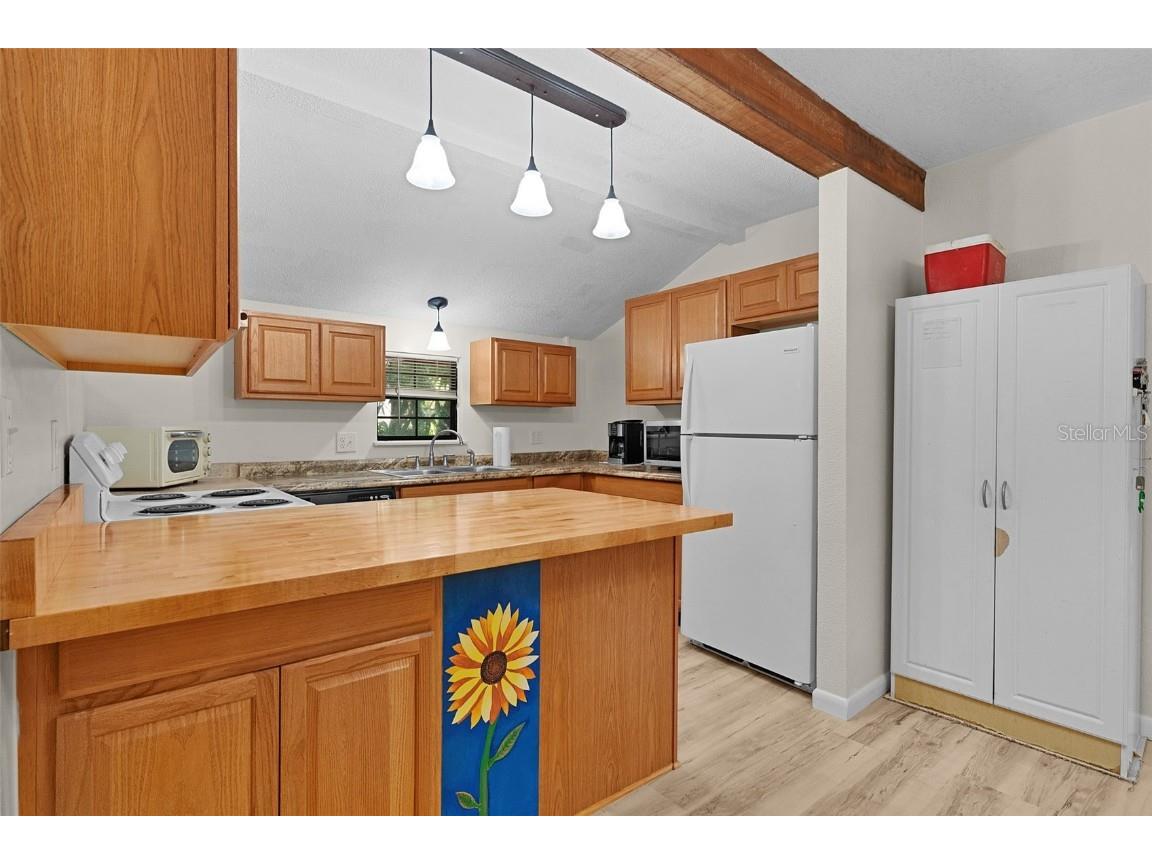 6250 & 5942 E C 478 Center Hill FL 33514 O6363176 image14