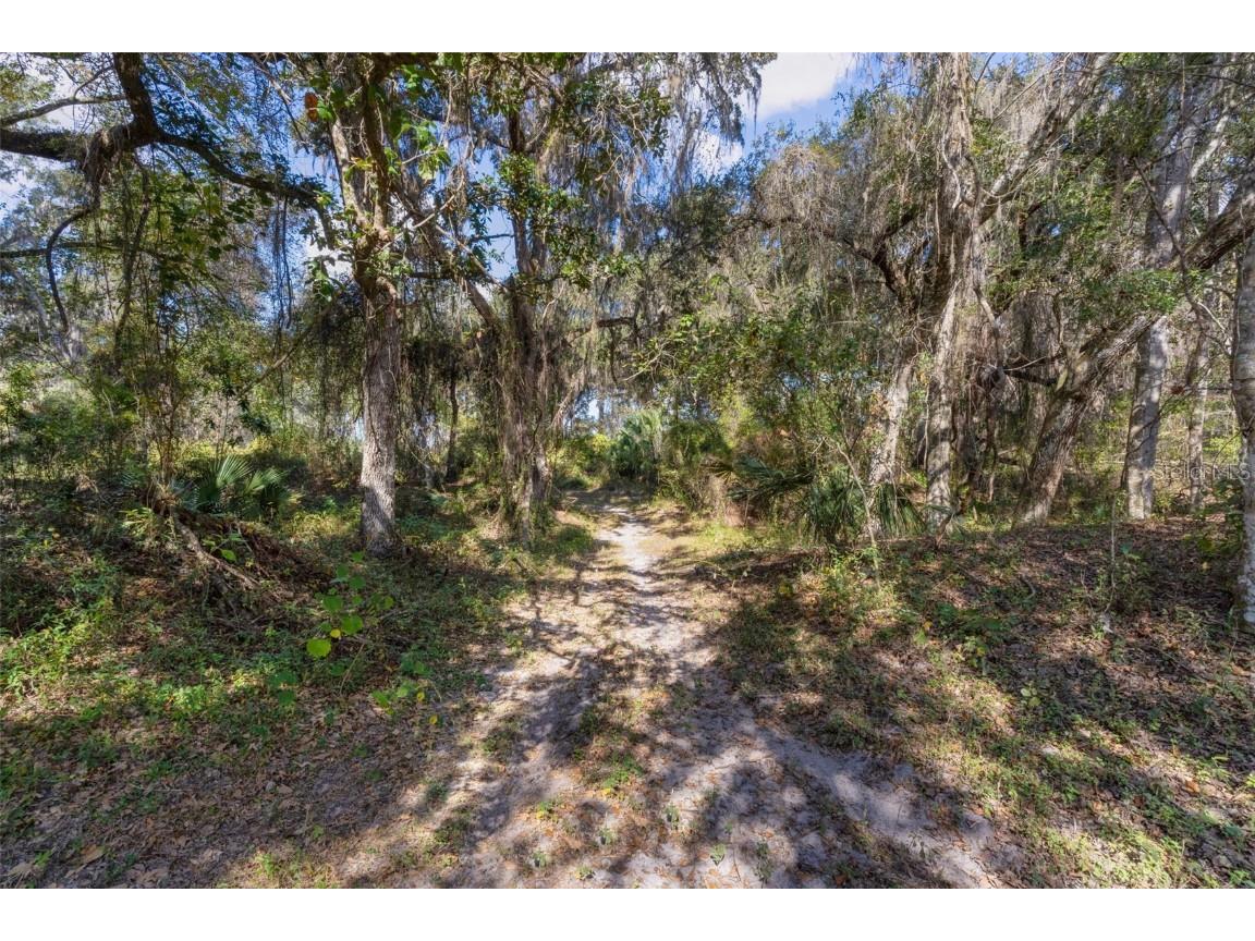 6250 & 5942 E C 478 Center Hill FL 33514 O6363176 image45