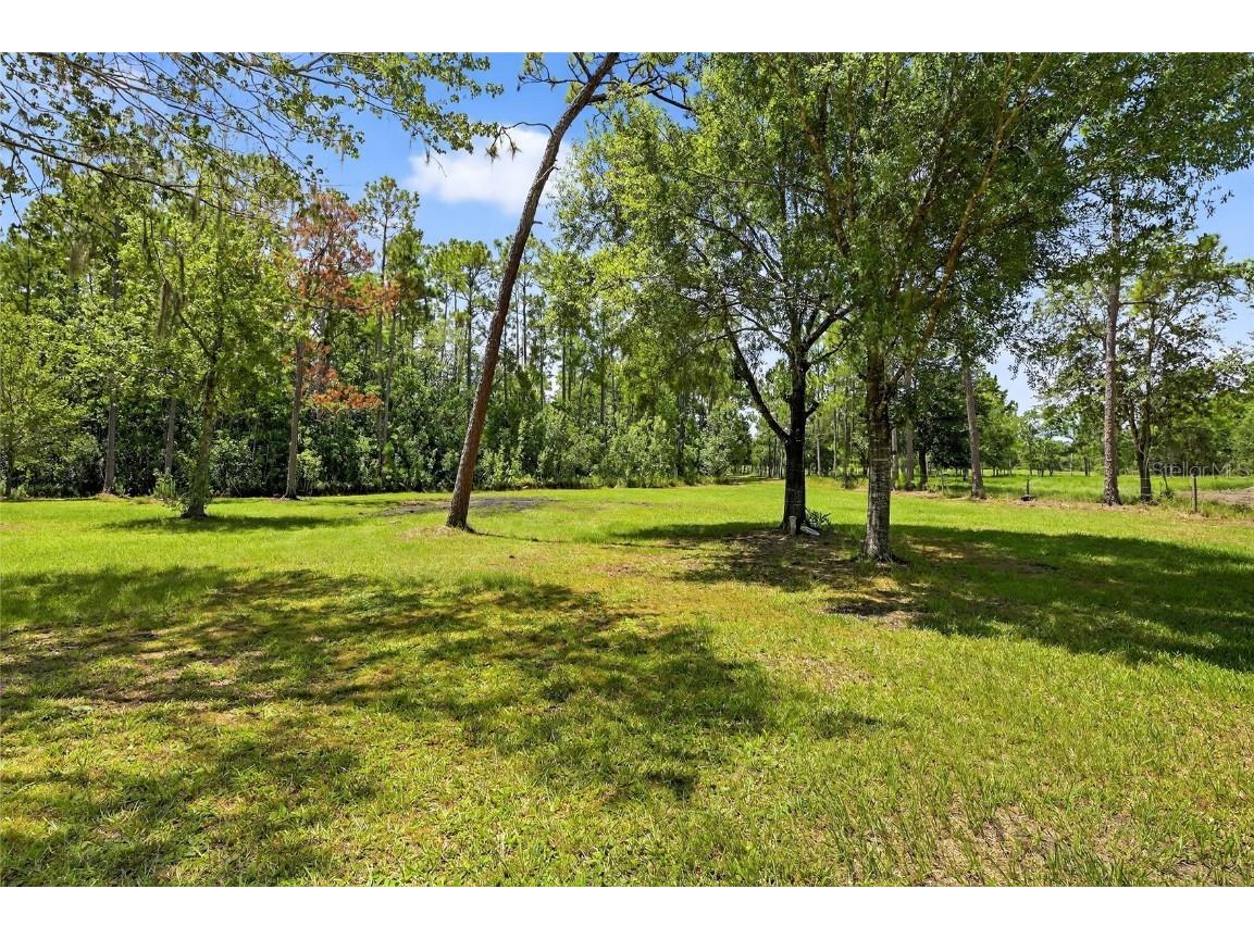 6250 Green Pond Road Polk City FL 33868 TB8407384 image64