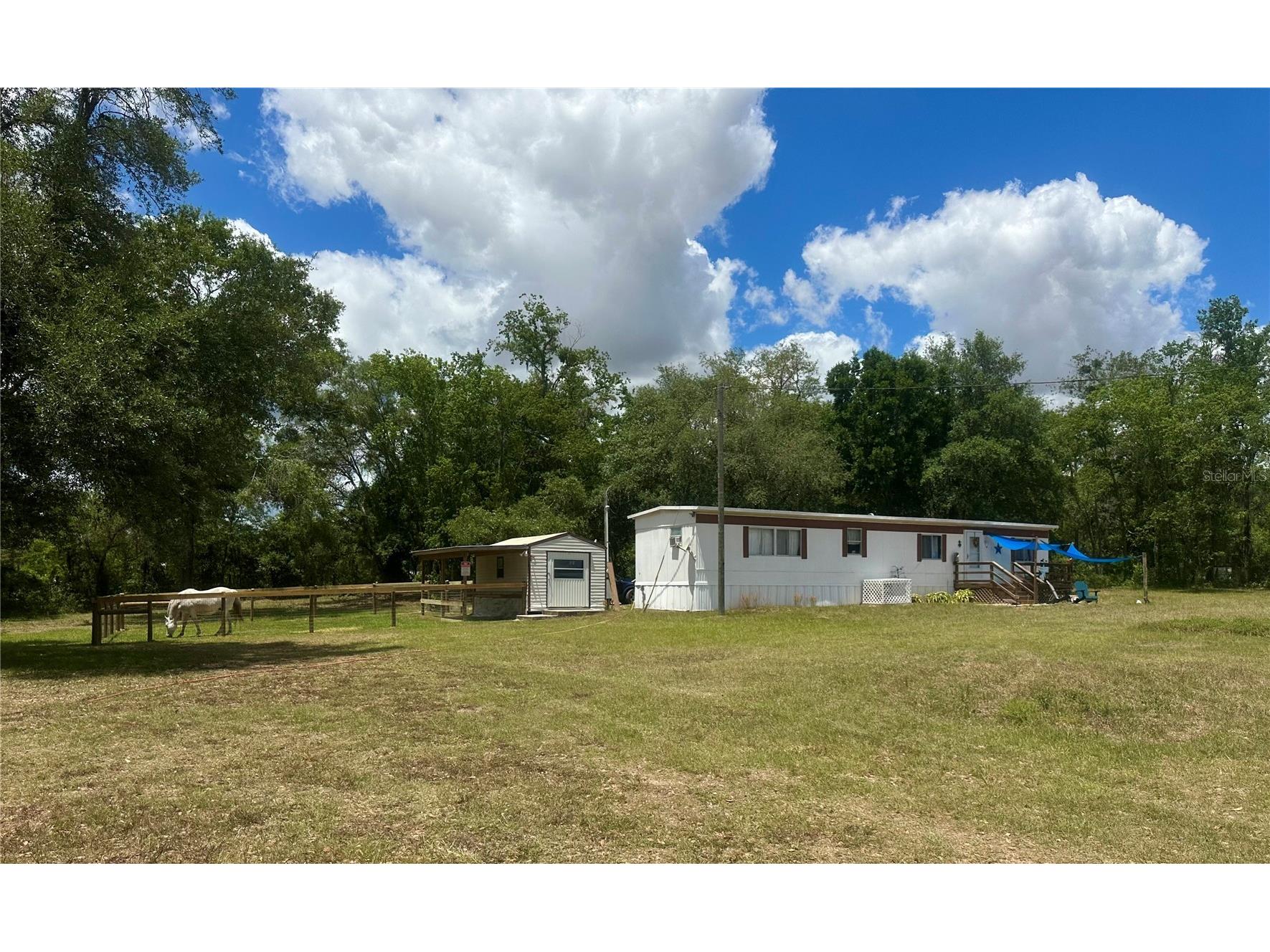 6250 SE 150th Avenue Morriston FL 32668 OM716103 image1
