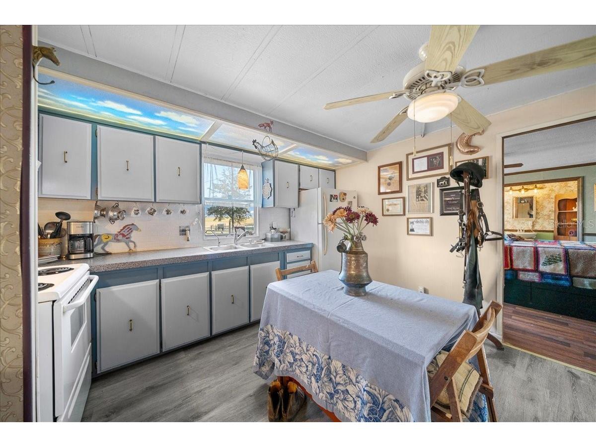 6250 SE 150th Avenue Morriston FL 32668 OM716103 image12