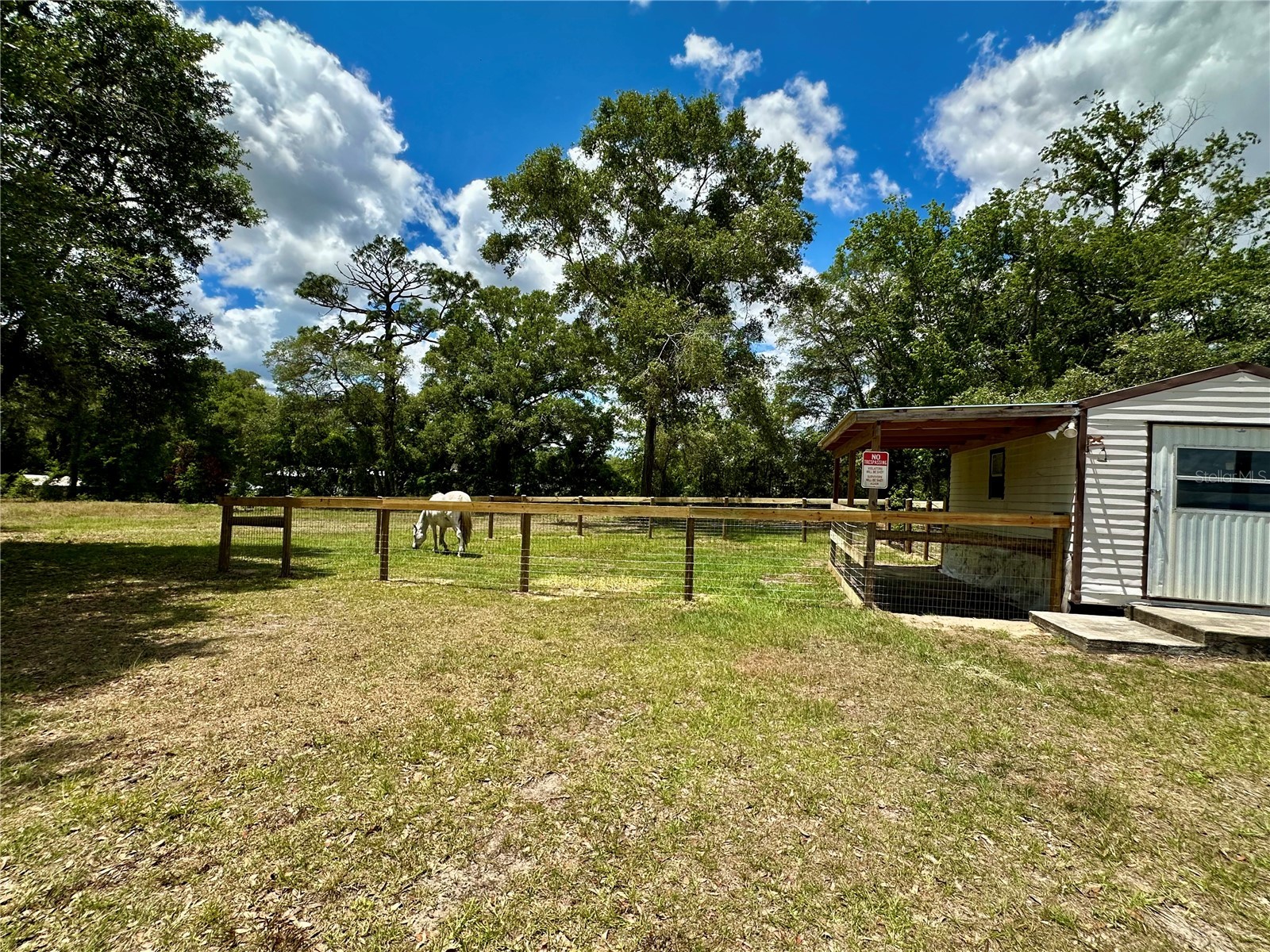 6250 SE 150th Avenue Morriston FL 32668 OM716103 image27