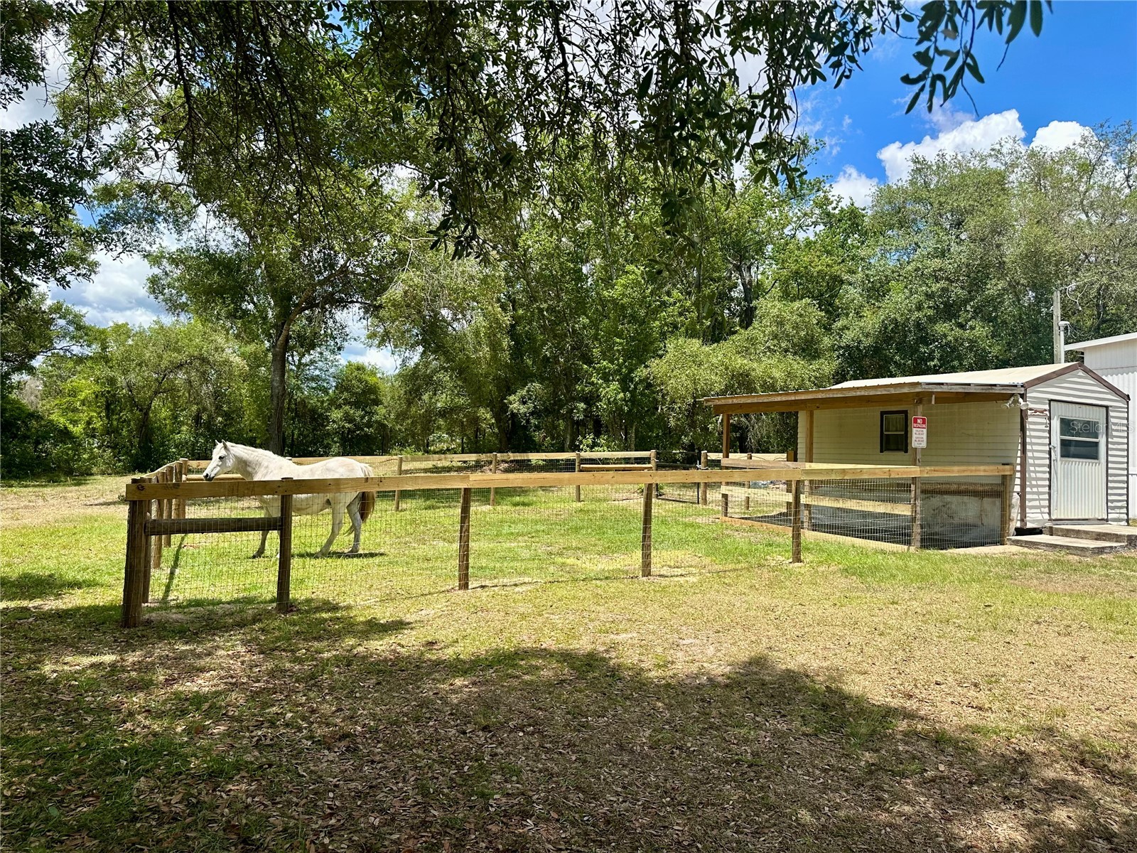 6250 SE 150th Avenue Morriston FL 32668 OM716103 image28