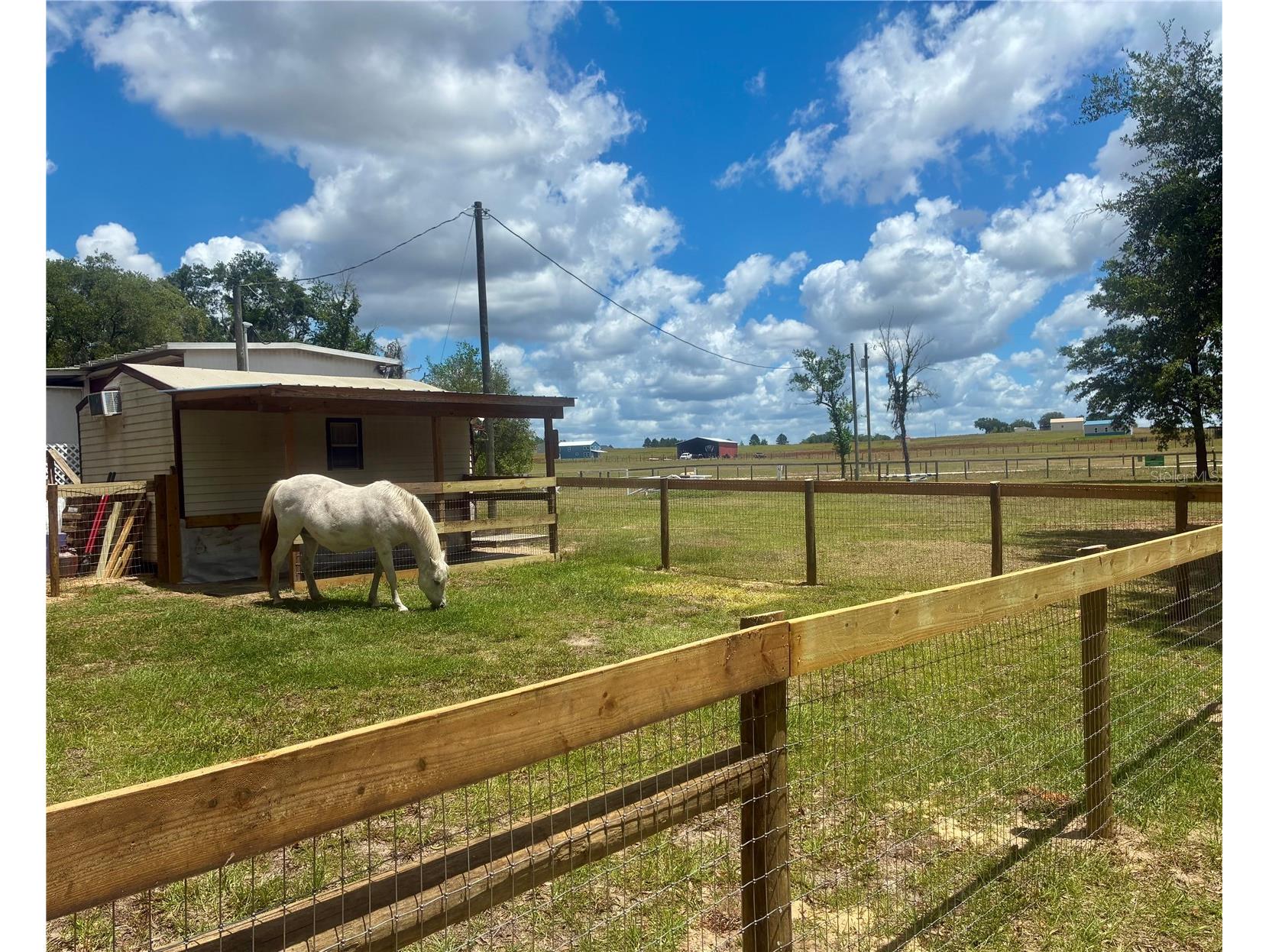 6250 SE 150th Avenue Morriston FL 32668 OM716103 image29