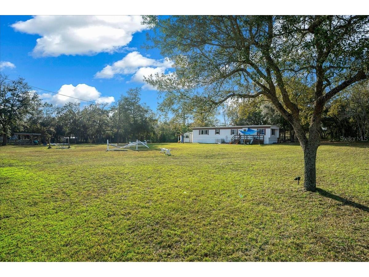 6250 SE 150th Avenue Morriston FL 32668 OM716103 image3