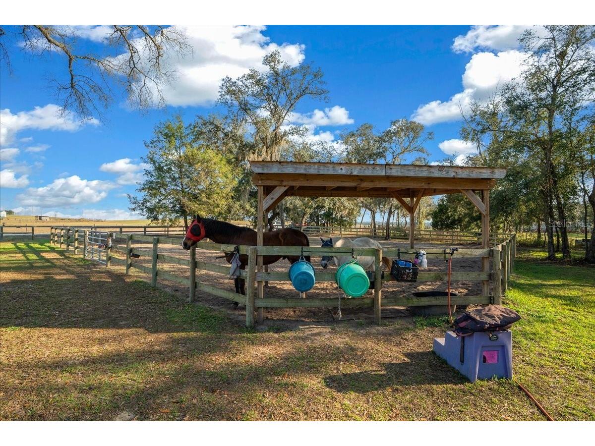 6250 SE 150th Avenue Morriston FL 32668 OM716103 image30