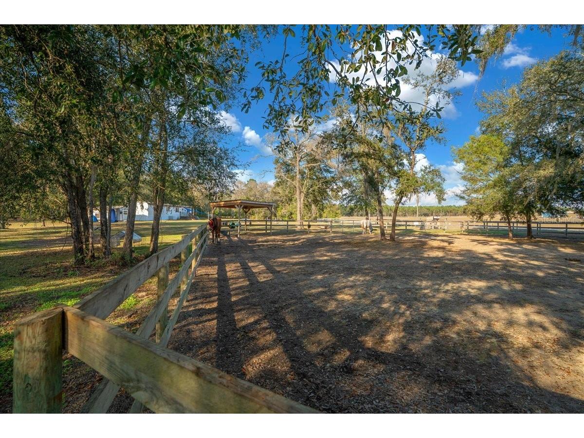 6250 SE 150th Avenue Morriston FL 32668 OM716103 image31