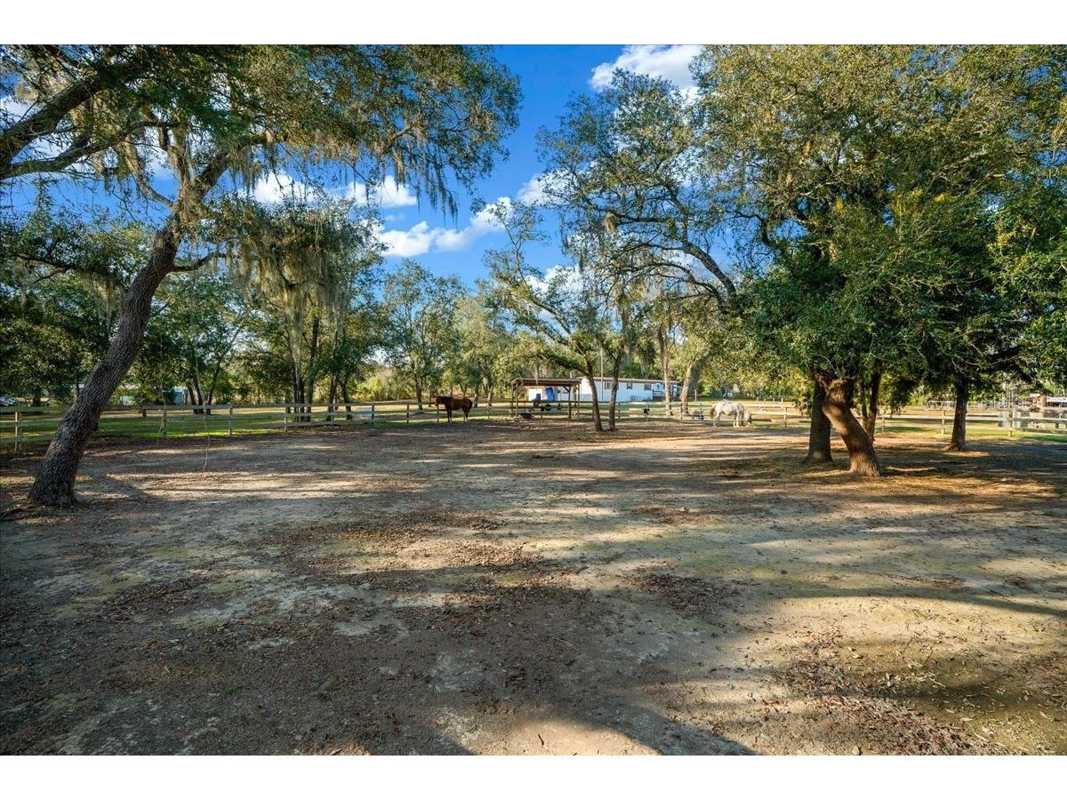 6250 SE 150th Avenue Morriston FL 32668 OM716103 image34