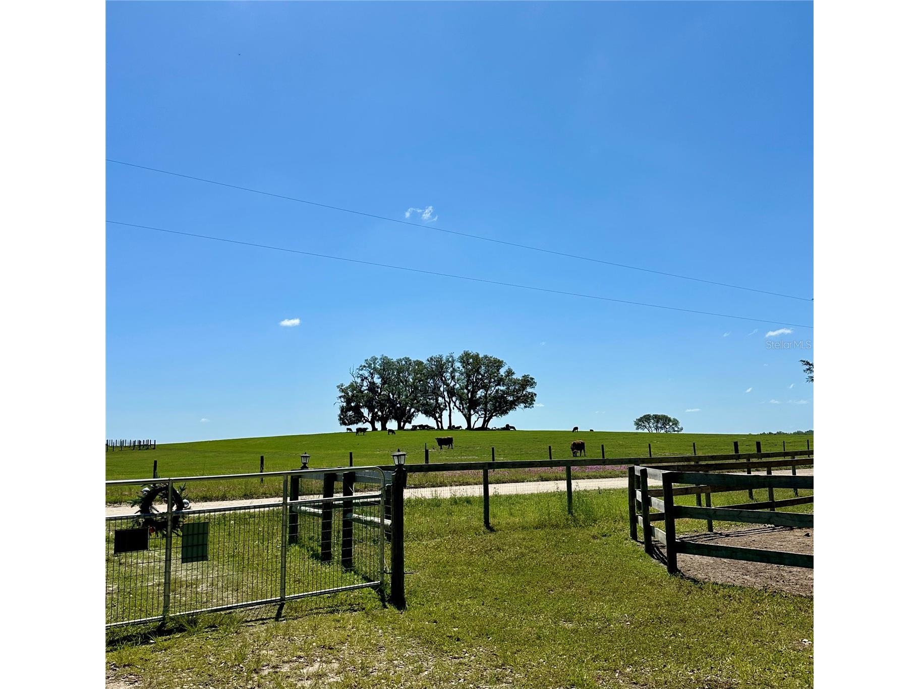 6250 SE 150th Avenue Morriston FL 32668 OM716103 image35