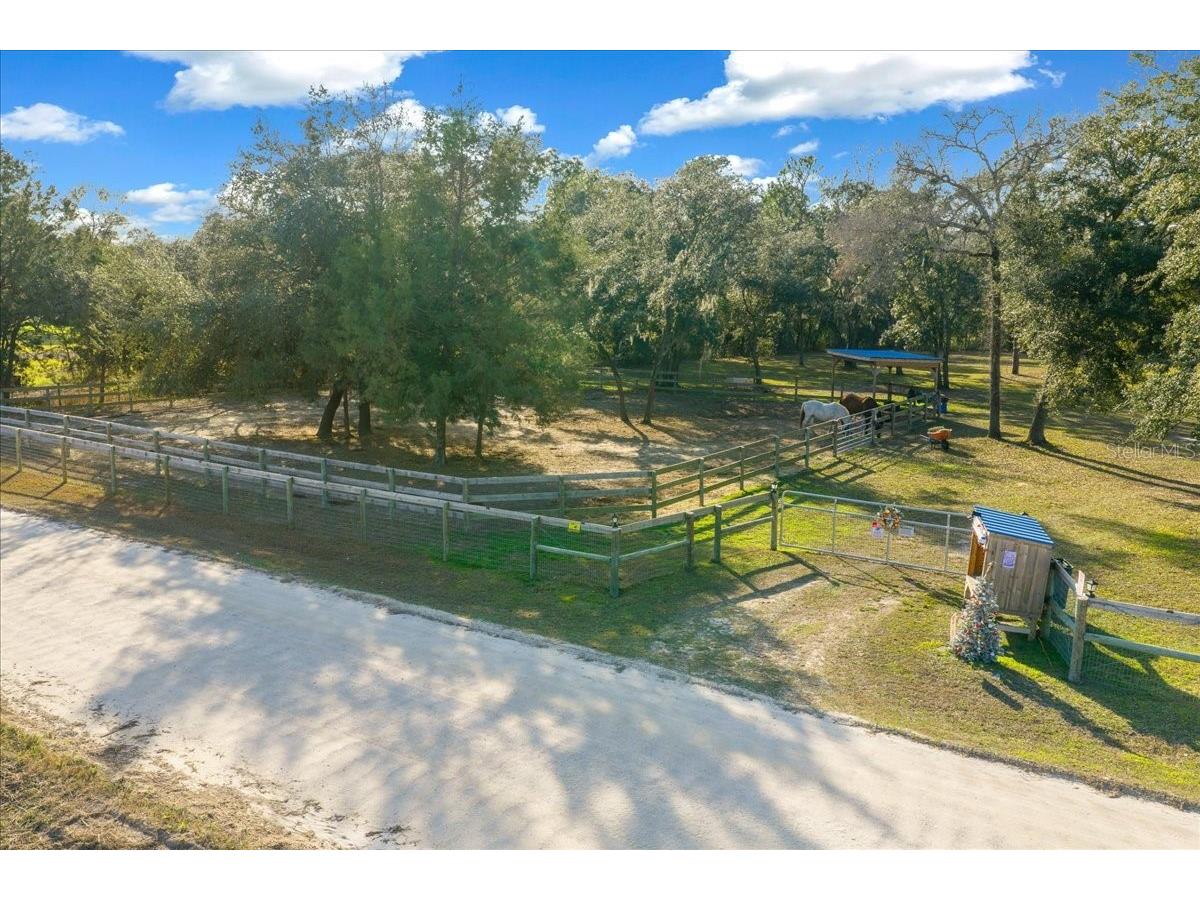 6250 SE 150th Avenue Morriston FL 32668 OM716103 image39