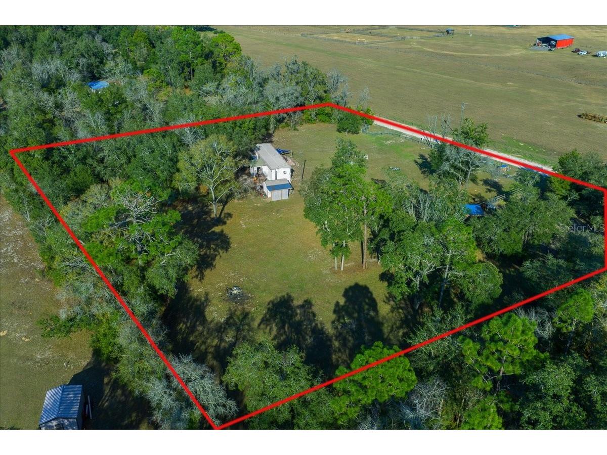 6250 SE 150th Avenue Morriston FL 32668 OM716103 image42