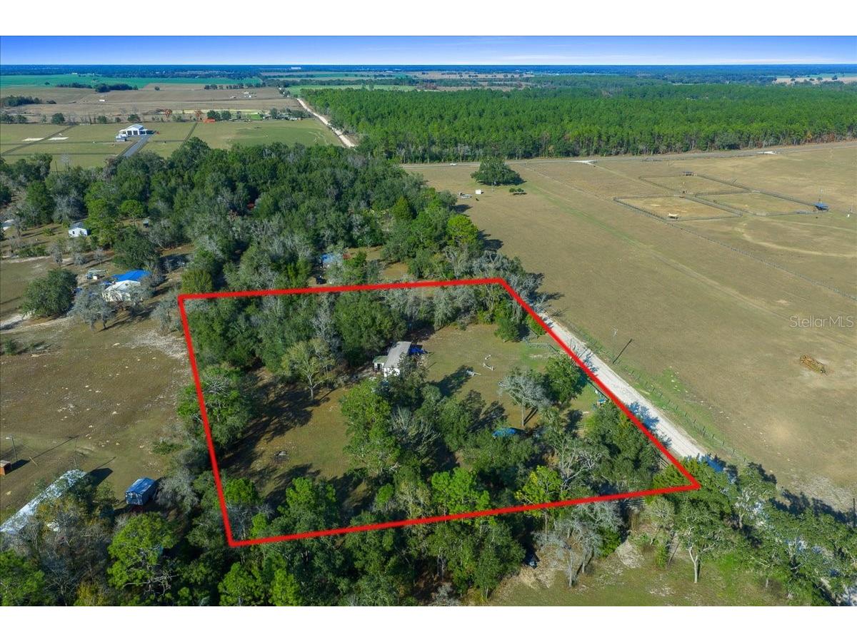 6250 SE 150th Avenue Morriston FL 32668 OM716103 image43