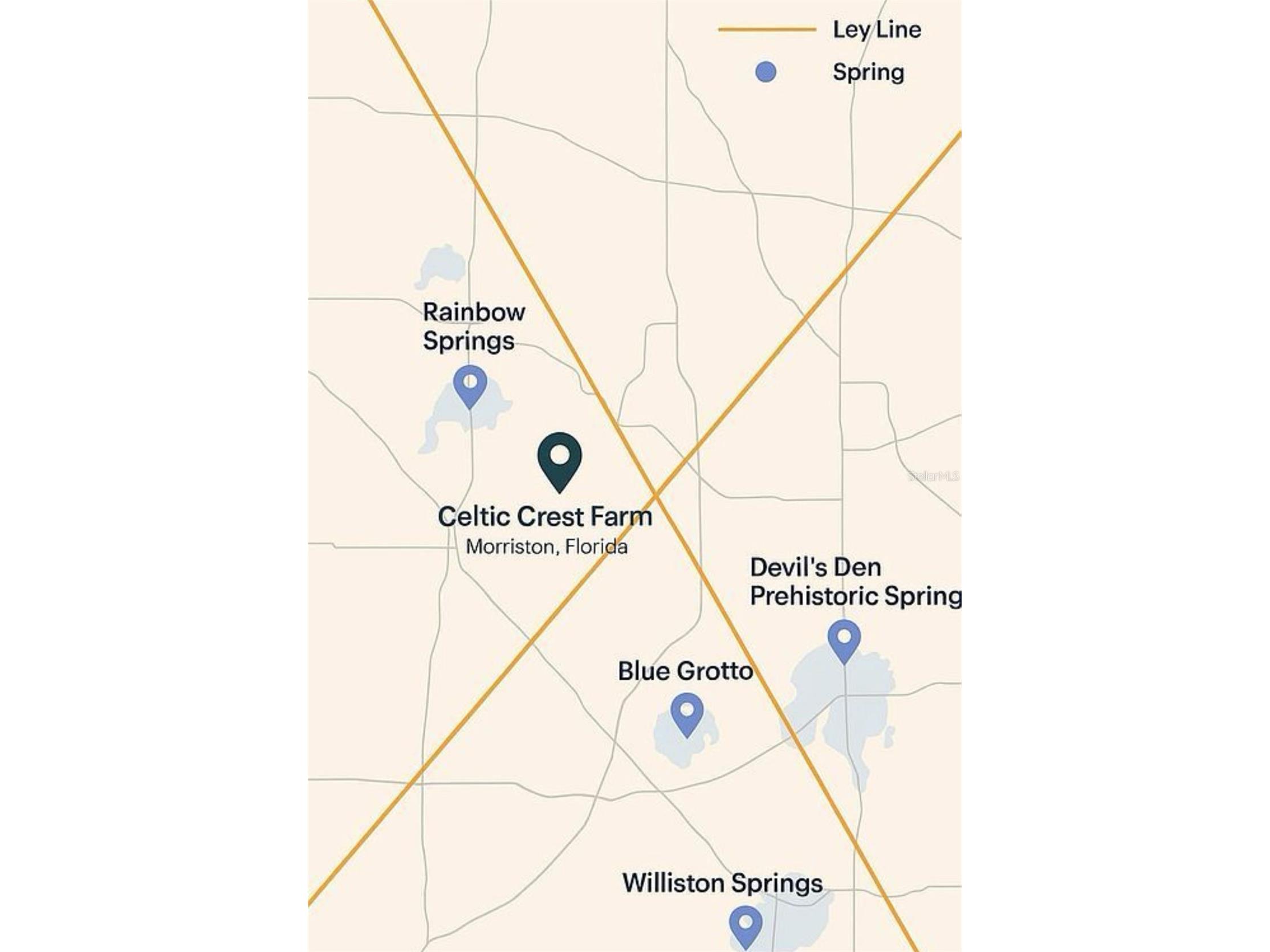 6250 SE 150th Avenue Morriston FL 32668 OM716103 image45