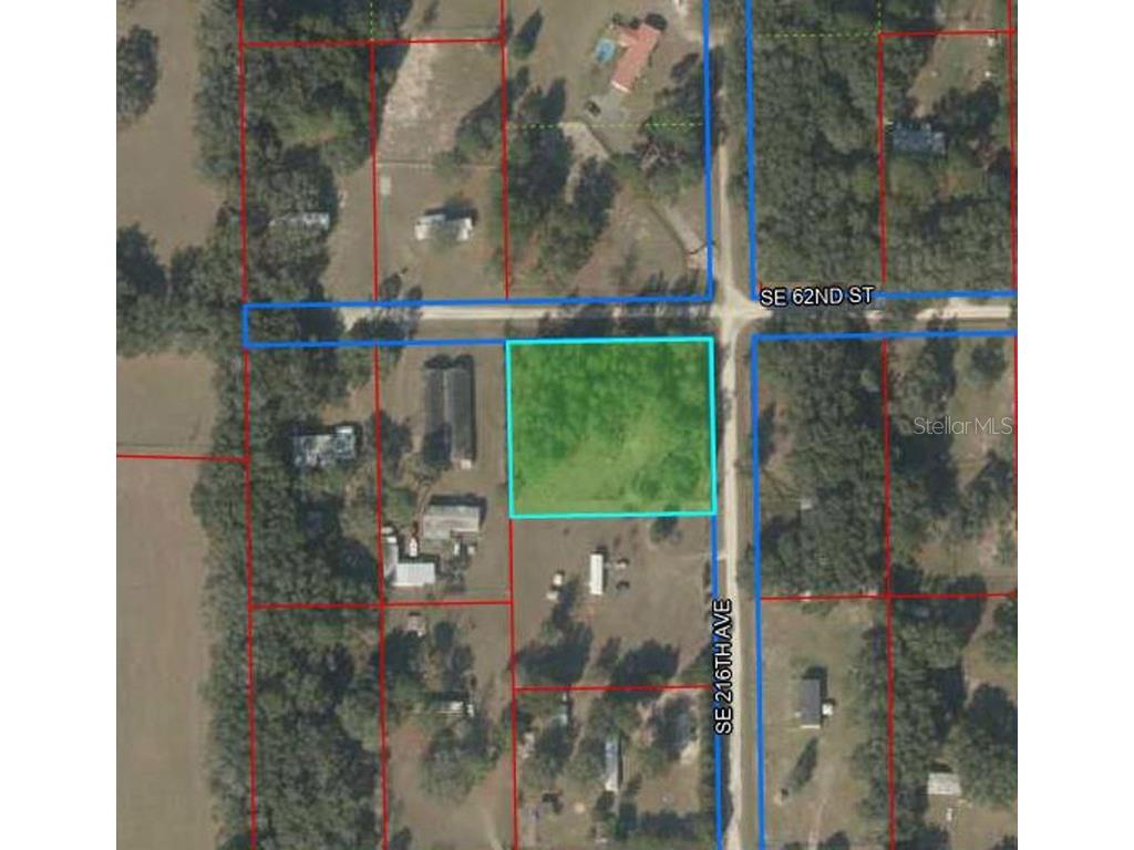 6250 SE 216th Avenue Morriston FL 32668 OM657224 image1