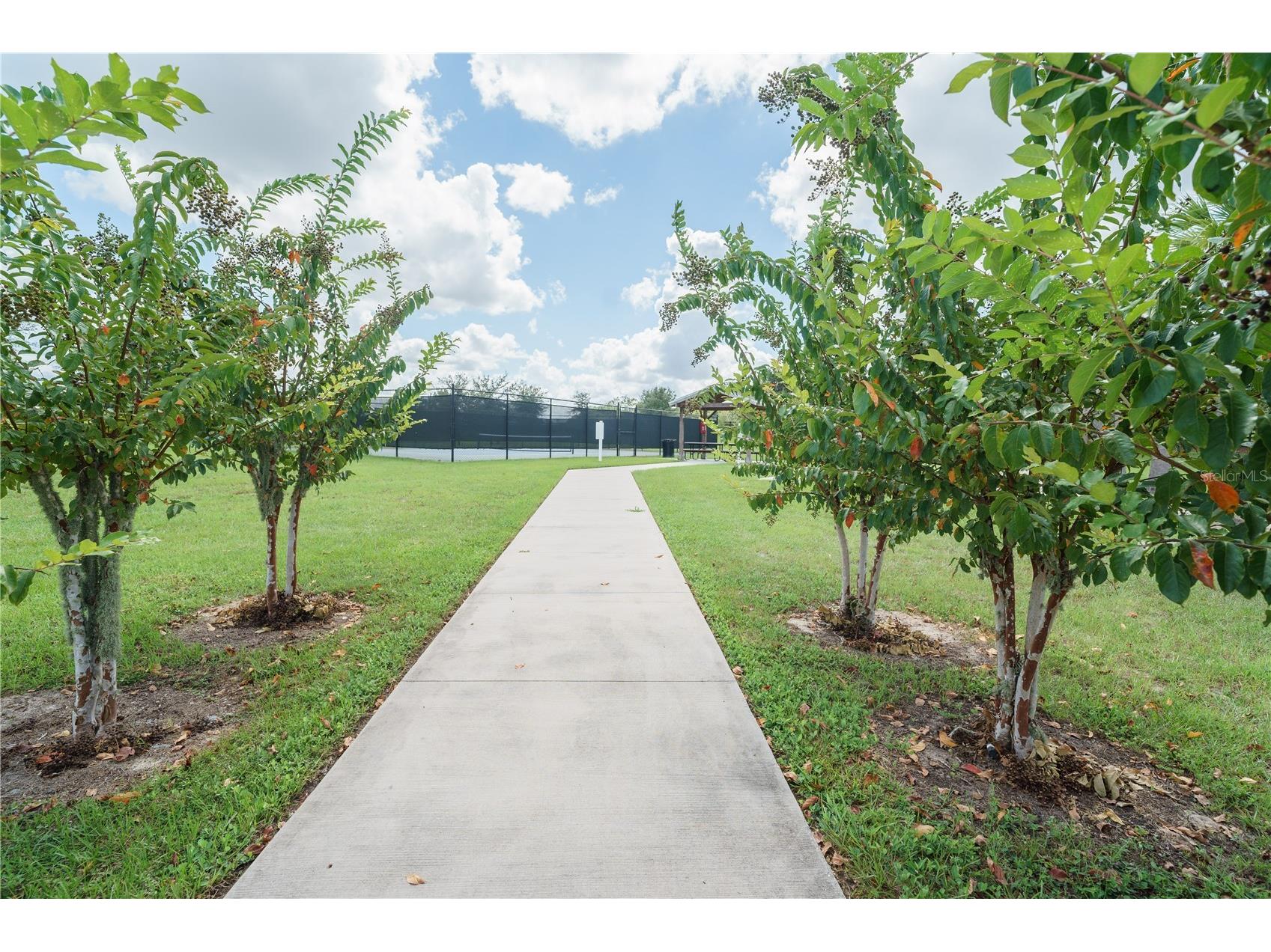 6250 SW 89th Lane Road Ocala FL 34476 OM712805 image56