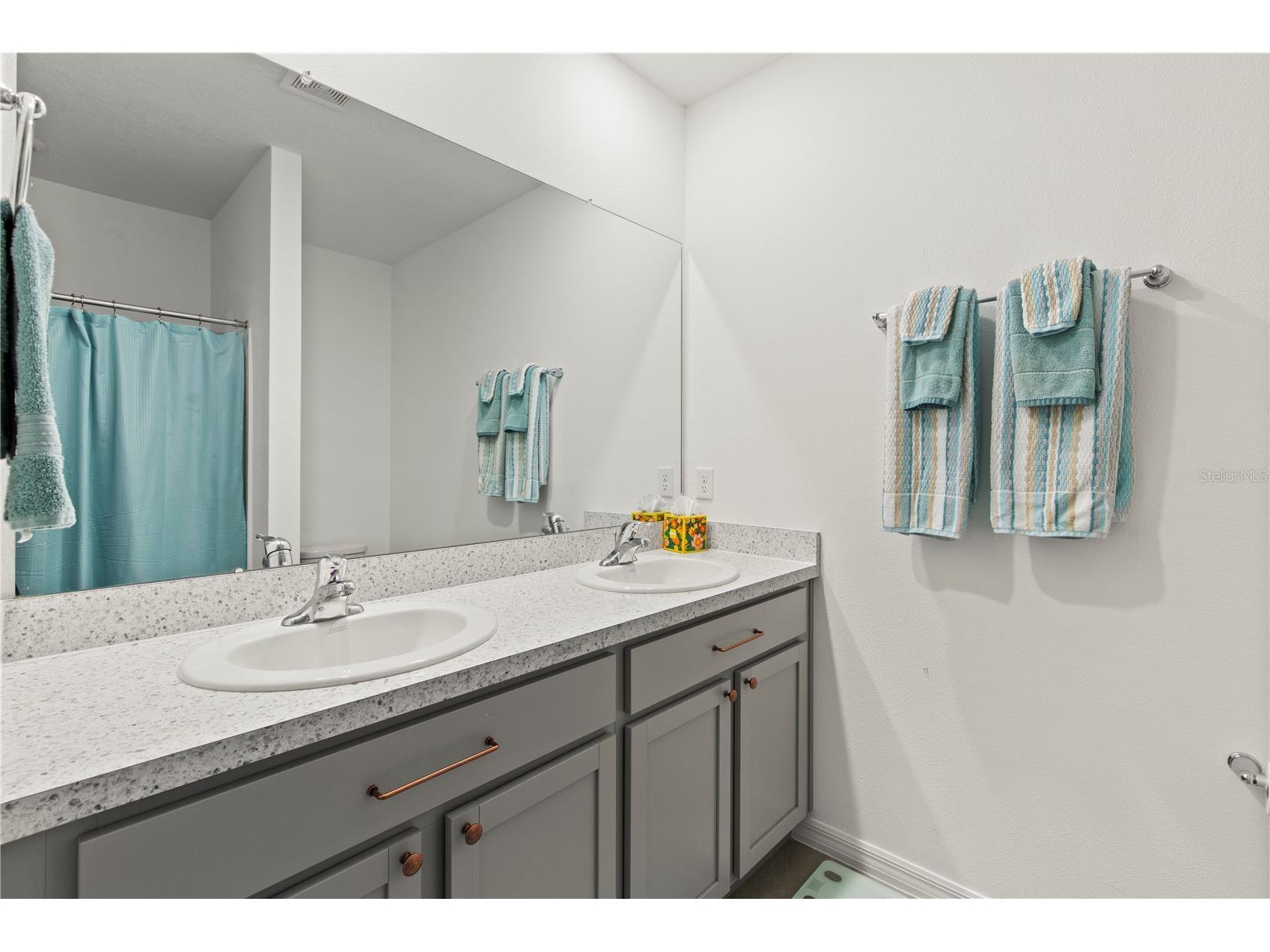 6250 Wandering Willow Drive Wesley Chapel FL 33545 TB8490817 image16