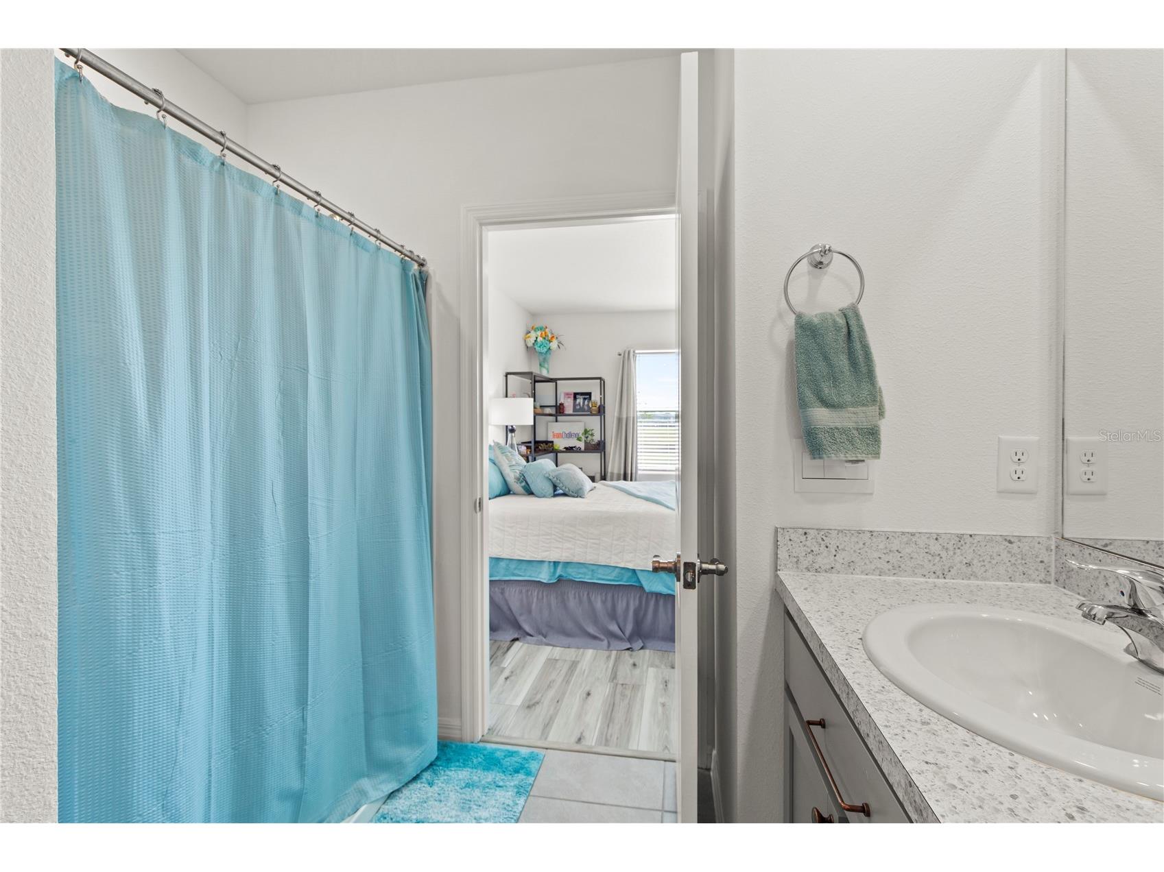 6250 Wandering Willow Drive Wesley Chapel FL 33545 TB8490817 image17