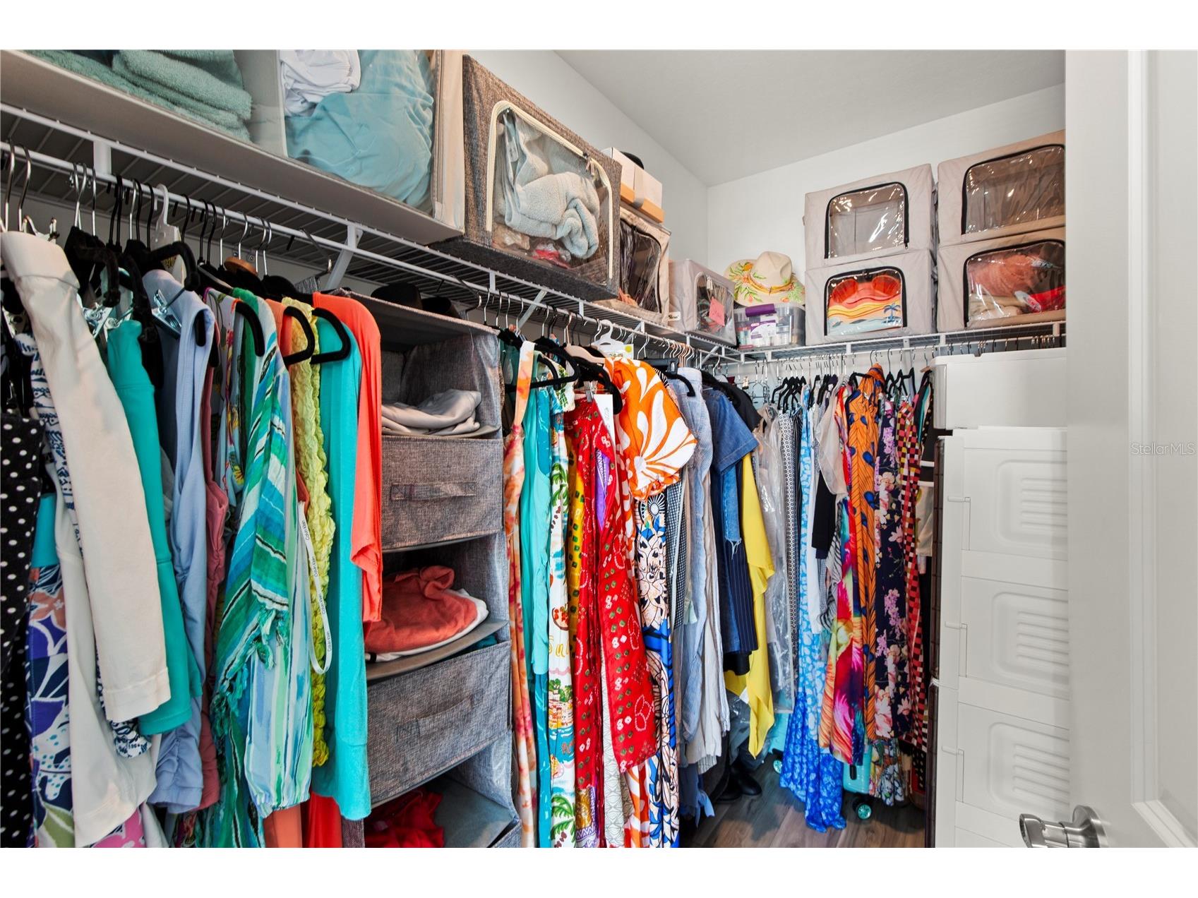 6250 Wandering Willow Drive Wesley Chapel FL 33545 TB8490817 image18