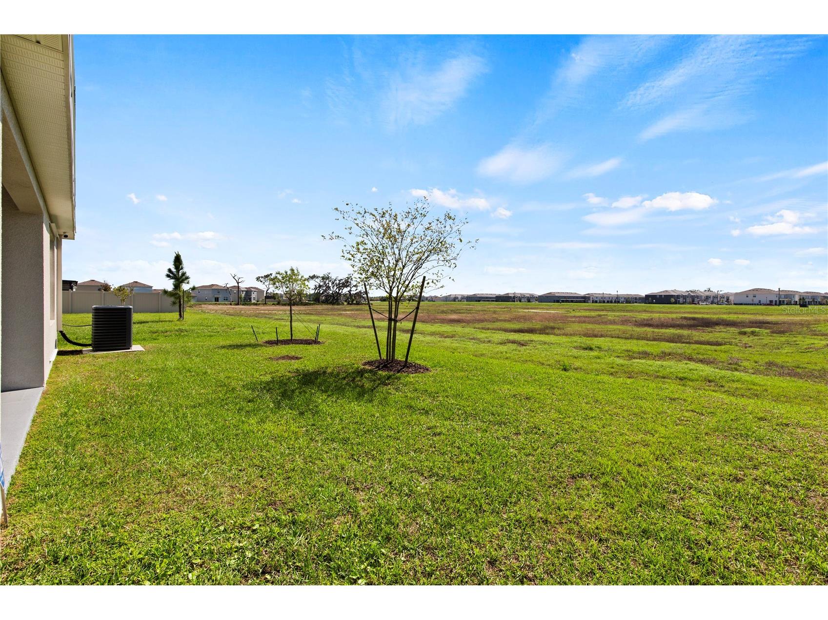 6250 Wandering Willow Drive Wesley Chapel FL 33545 TB8490817 image27