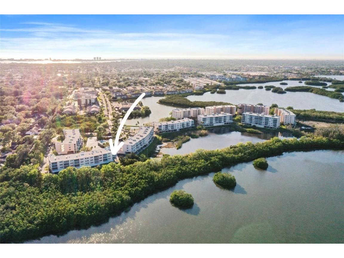 6251 Shoreline Drive #2101 Saint Petersburg FL 33708 - LONG BAYOU TB8435675 image34