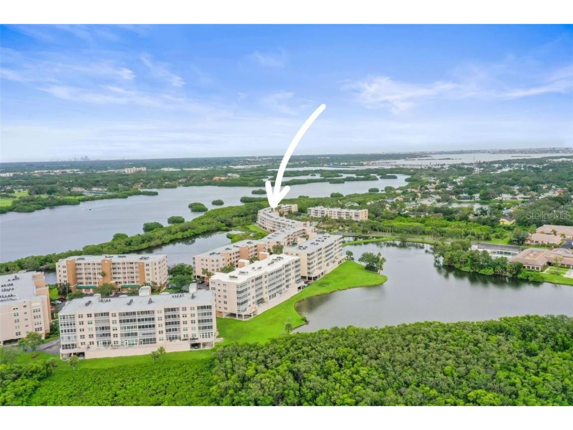 6251 Shoreline Drive #2101 Saint Petersburg FL 33708 - LONG BAYOU TB8435675 image35