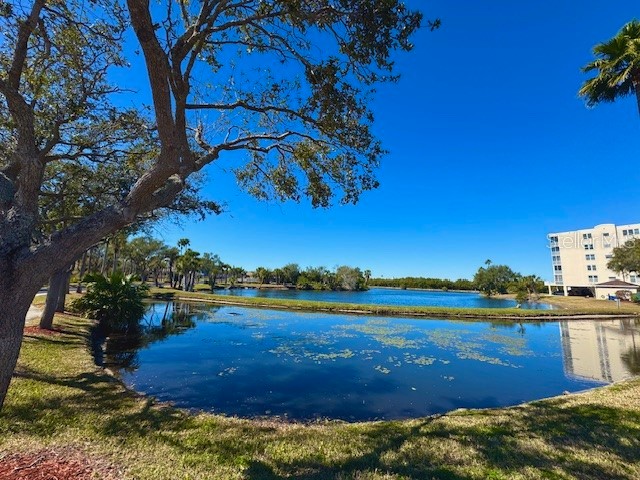 6251 Shoreline Drive #2205 Seminole FL 33708 TB8487954 image40
