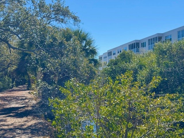 6251 Shoreline Drive #2205 Seminole FL 33708 TB8487954 image43