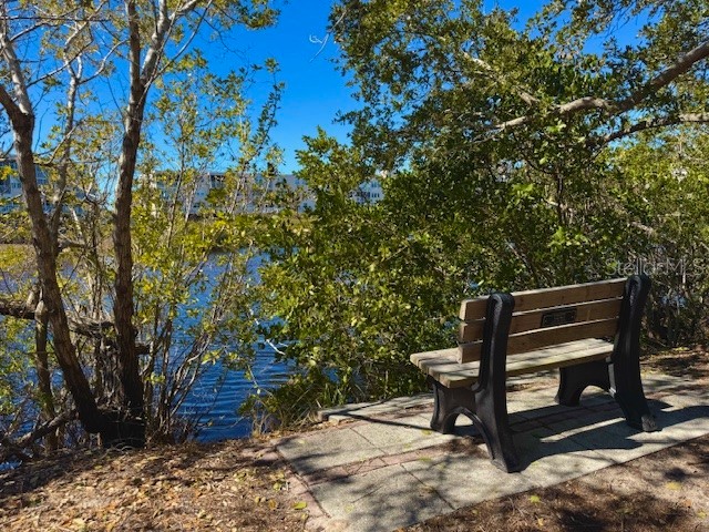 6251 Shoreline Drive #2205 Seminole FL 33708 TB8487954 image44